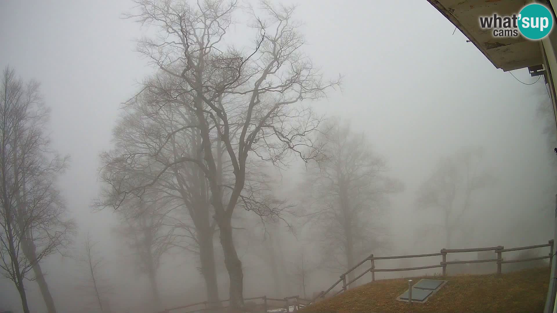 Planina Razor Bergütte Webcam (1315) | Blick auf Tolminski Migovec