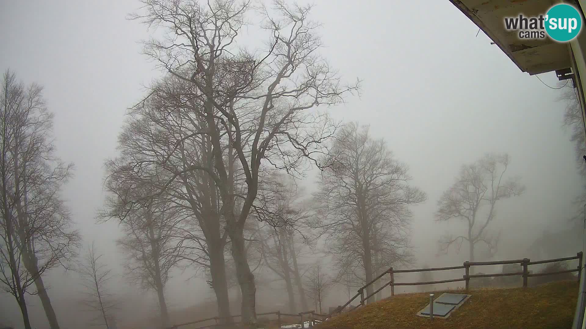 Refuge de la montagne Planina Razor caméra en direct (1315) | vue sur Tolminski Migovec