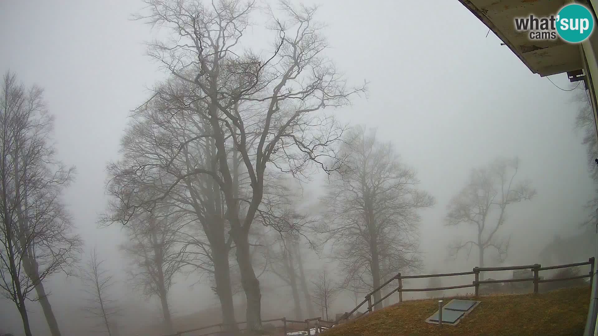 Refuge de la montagne Planina Razor caméra en direct (1315) | vue sur Tolminski Migovec