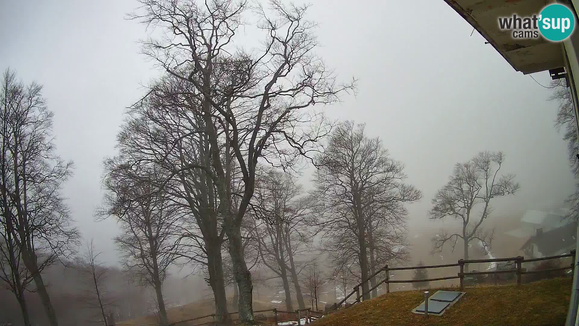 Cámara en vivo de la cabaña de montaña Planina Razor (1315) | vista hacia Tolminski Migovec