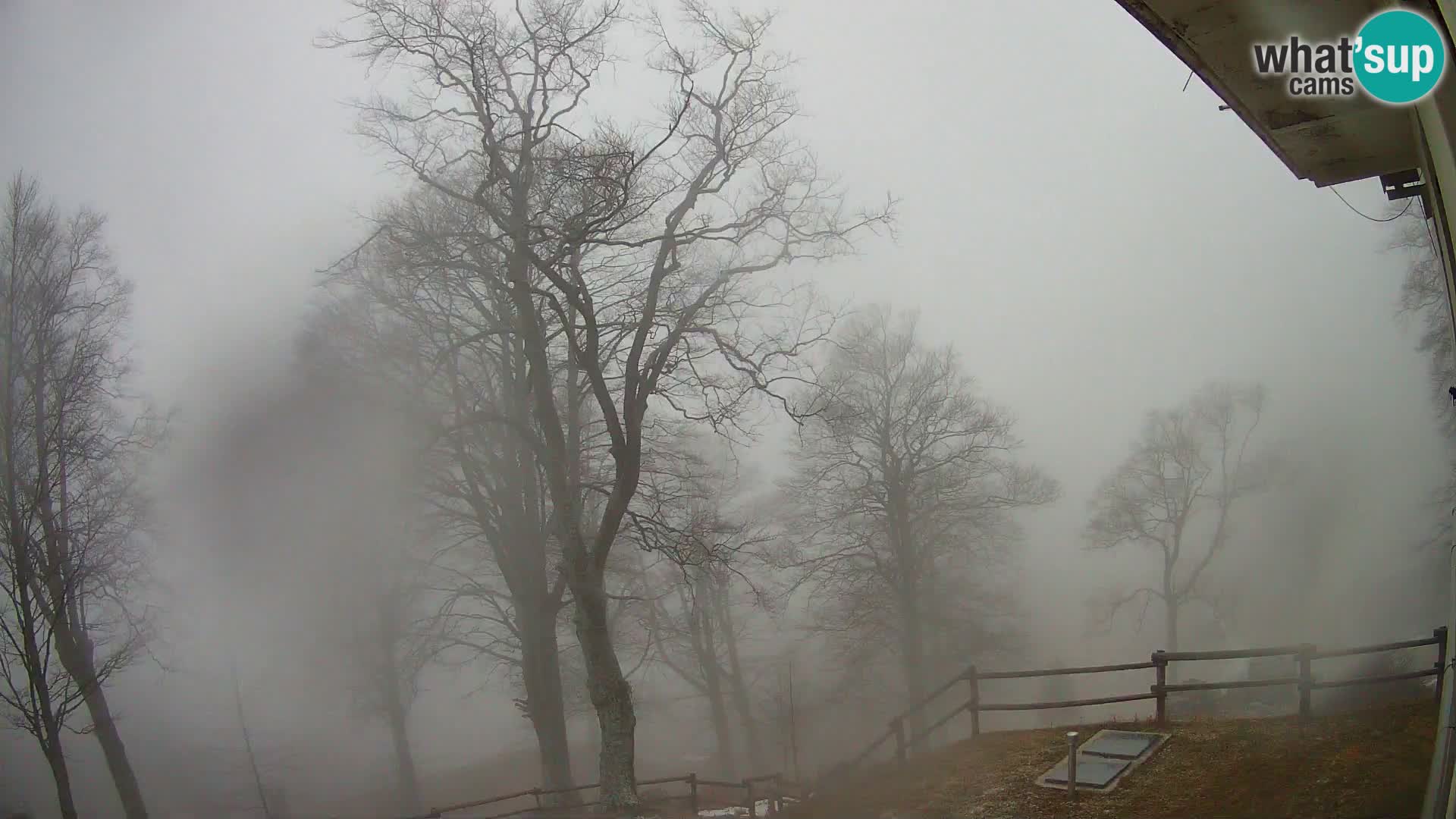 Cámara en vivo de la cabaña de montaña Planina Razor (1315) | vista hacia Tolminski Migovec