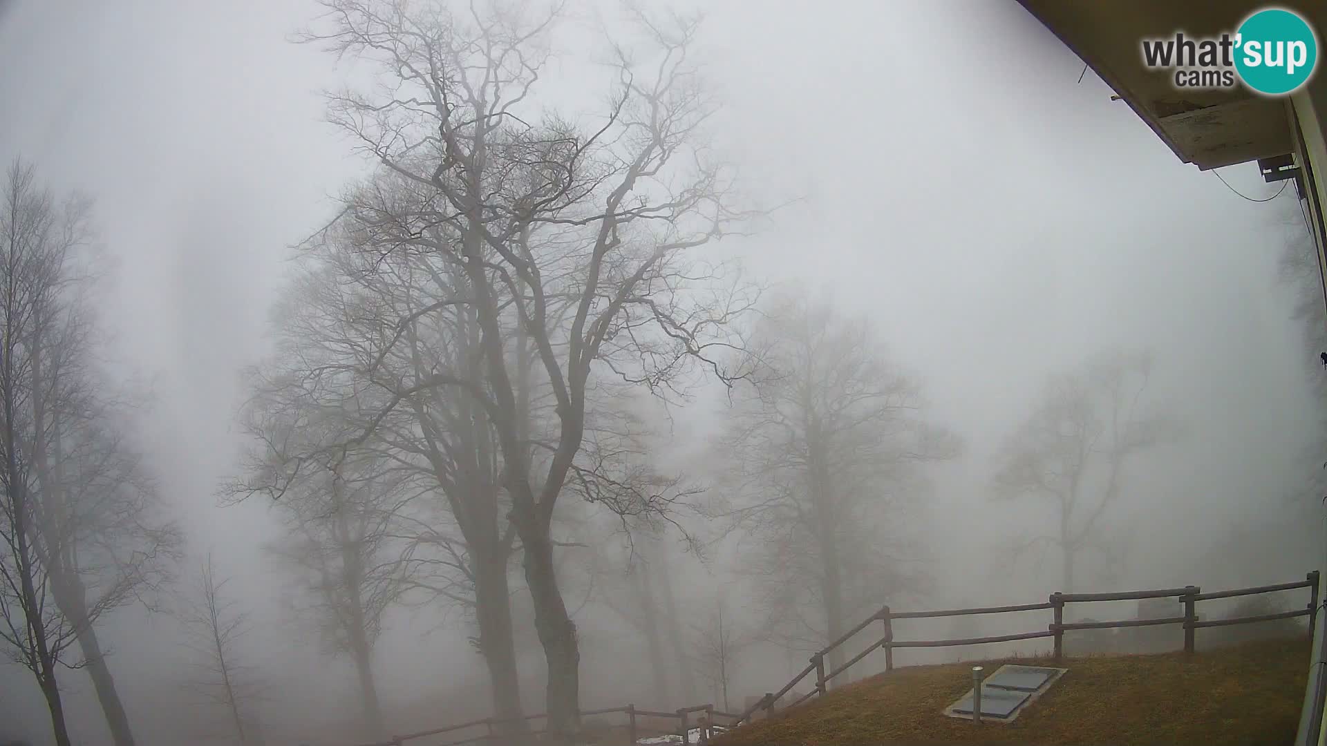 Baita di montagna Planina Razor webcam (1315) | vista su Tolminski Migovec