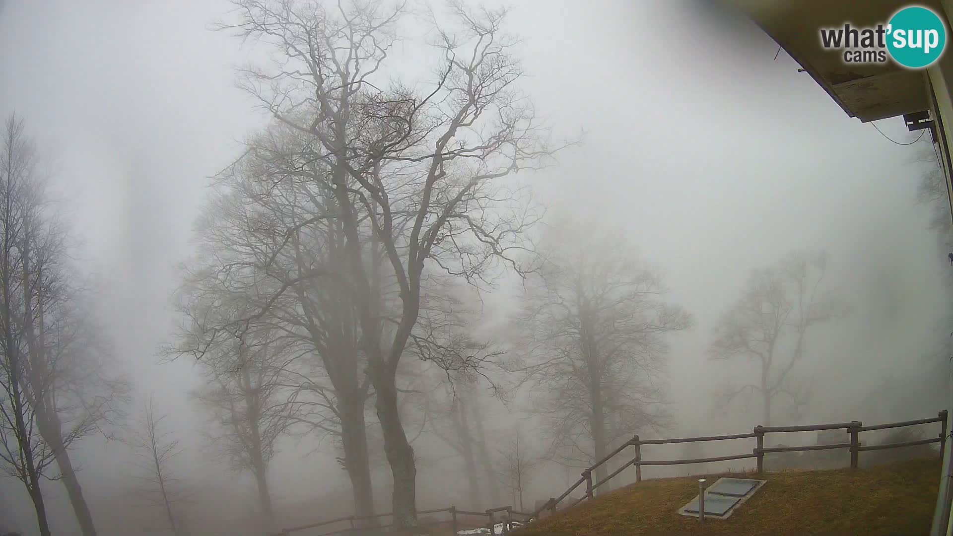 Cámara en vivo de la cabaña de montaña Planina Razor (1315) | vista hacia Tolminski Migovec