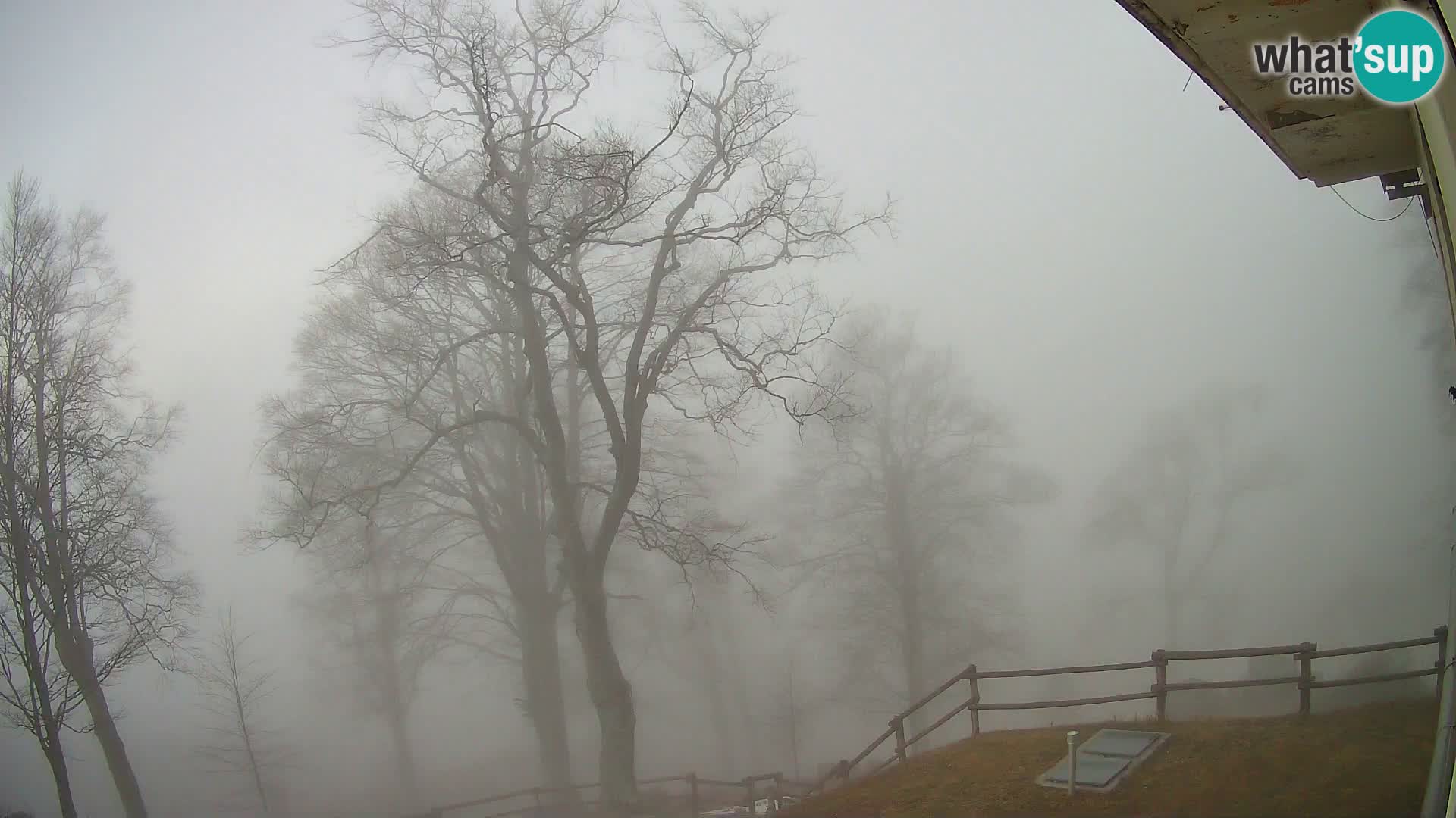 Baita di montagna Planina Razor webcam (1315) | vista su Tolminski Migovec