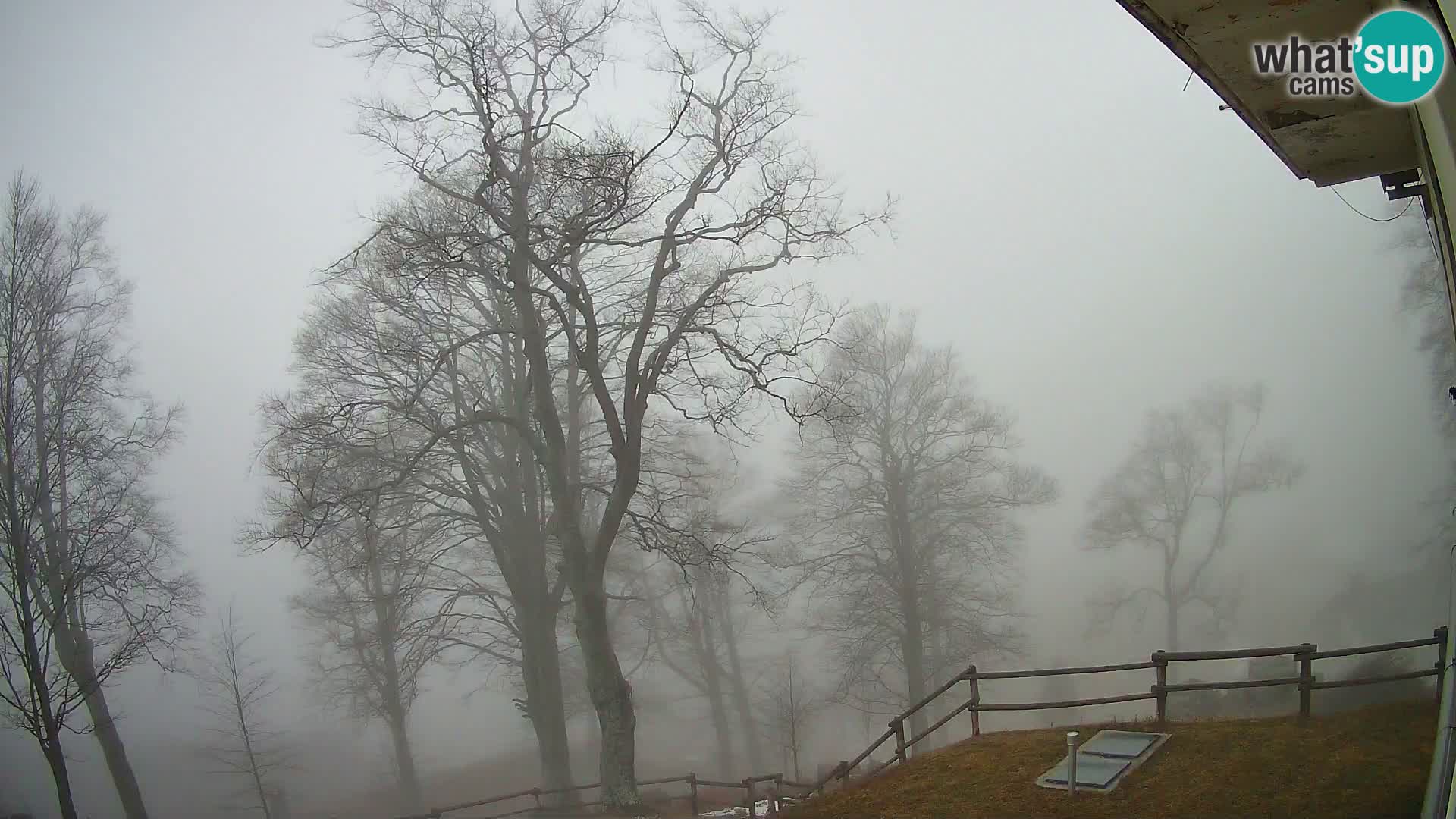 Baita di montagna Planina Razor webcam (1315) | vista su Tolminski Migovec