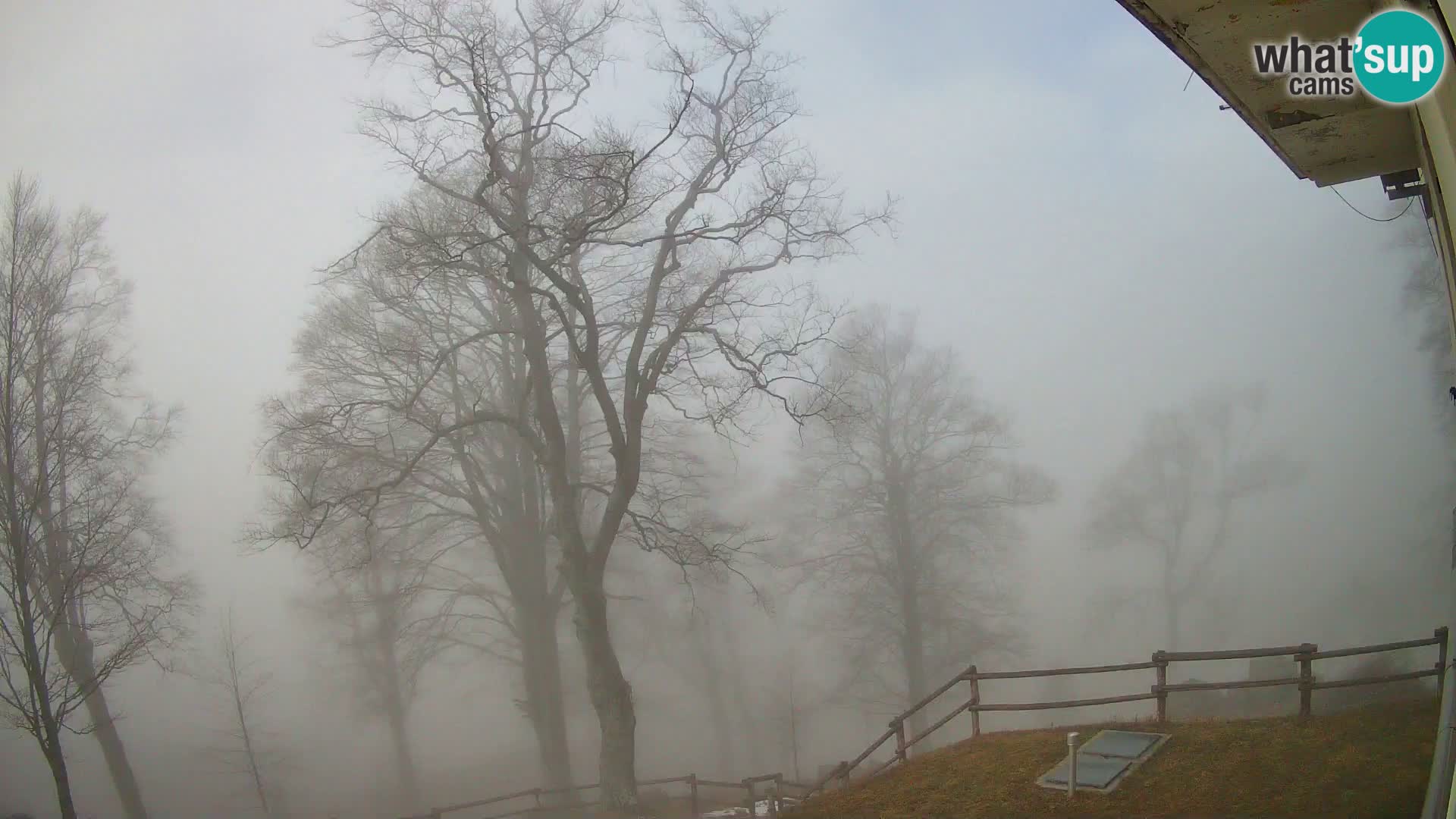 Planina Razor Bergütte Webcam (1315) | Blick auf Tolminski Migovec