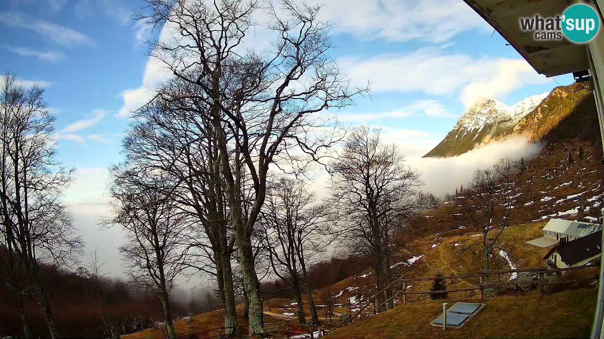 Planina Razor Bergütte Webcam (1315) | Blick auf Tolminski Migovec