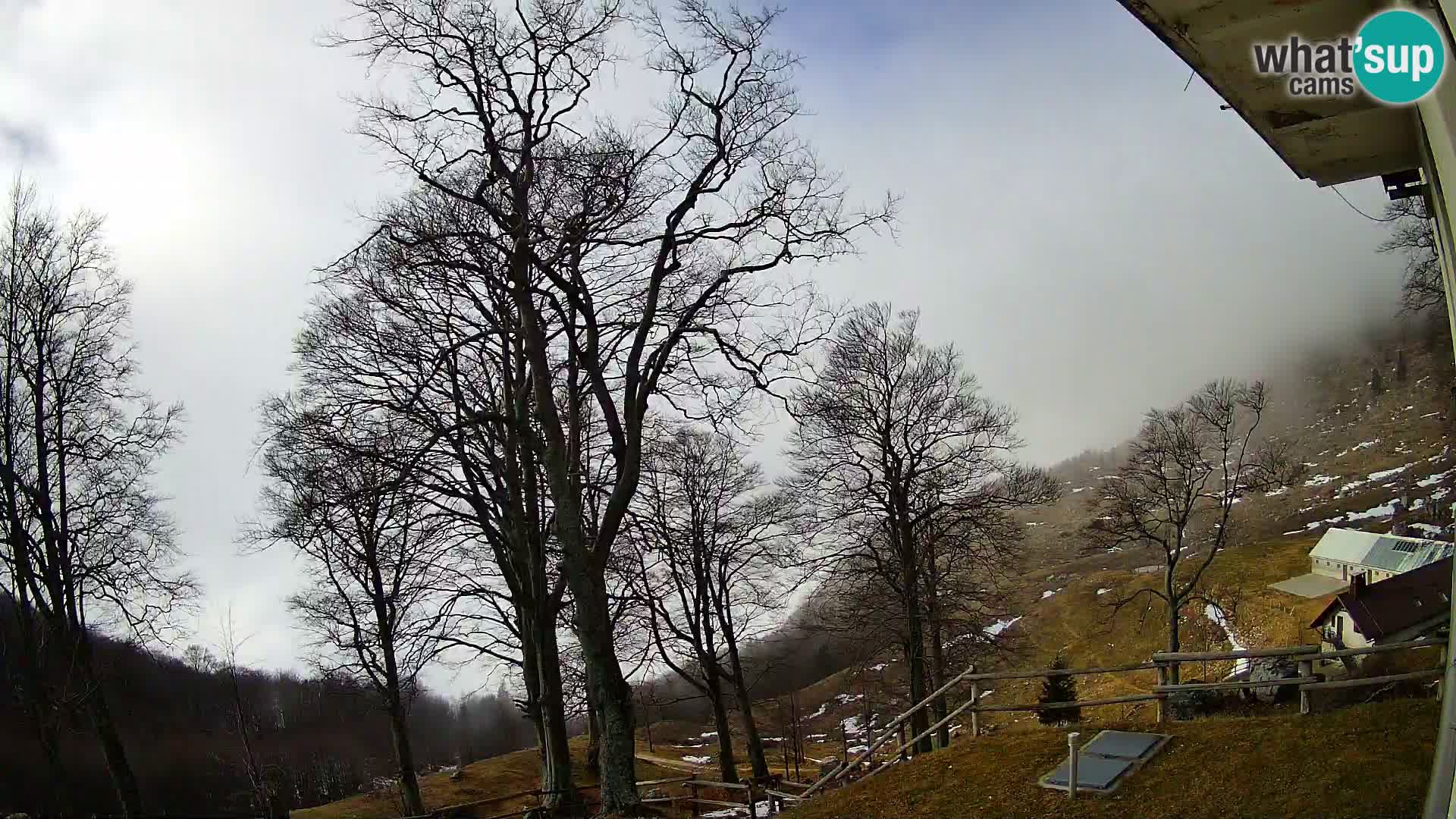 Planina Razor Bergütte Webcam (1315) | Blick auf Tolminski Migovec