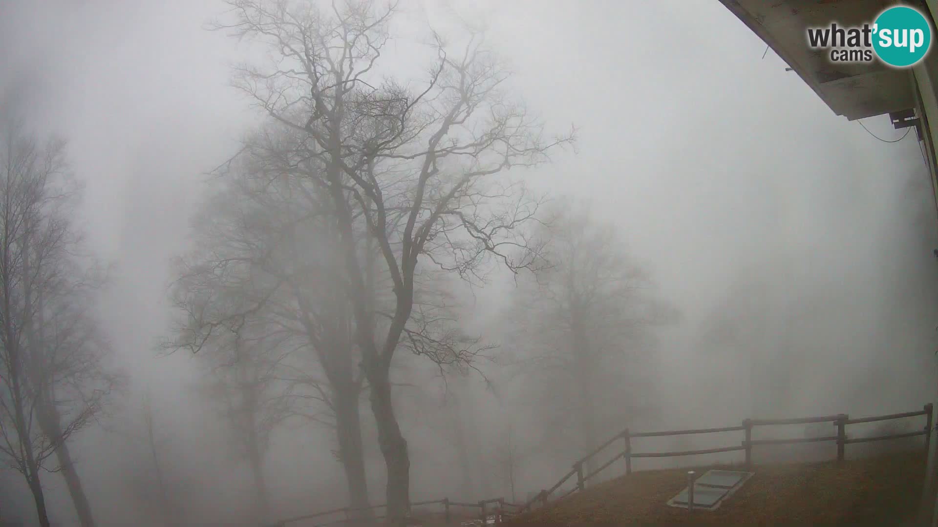 Planina Razor Bergütte Webcam (1315) | Blick auf Tolminski Migovec