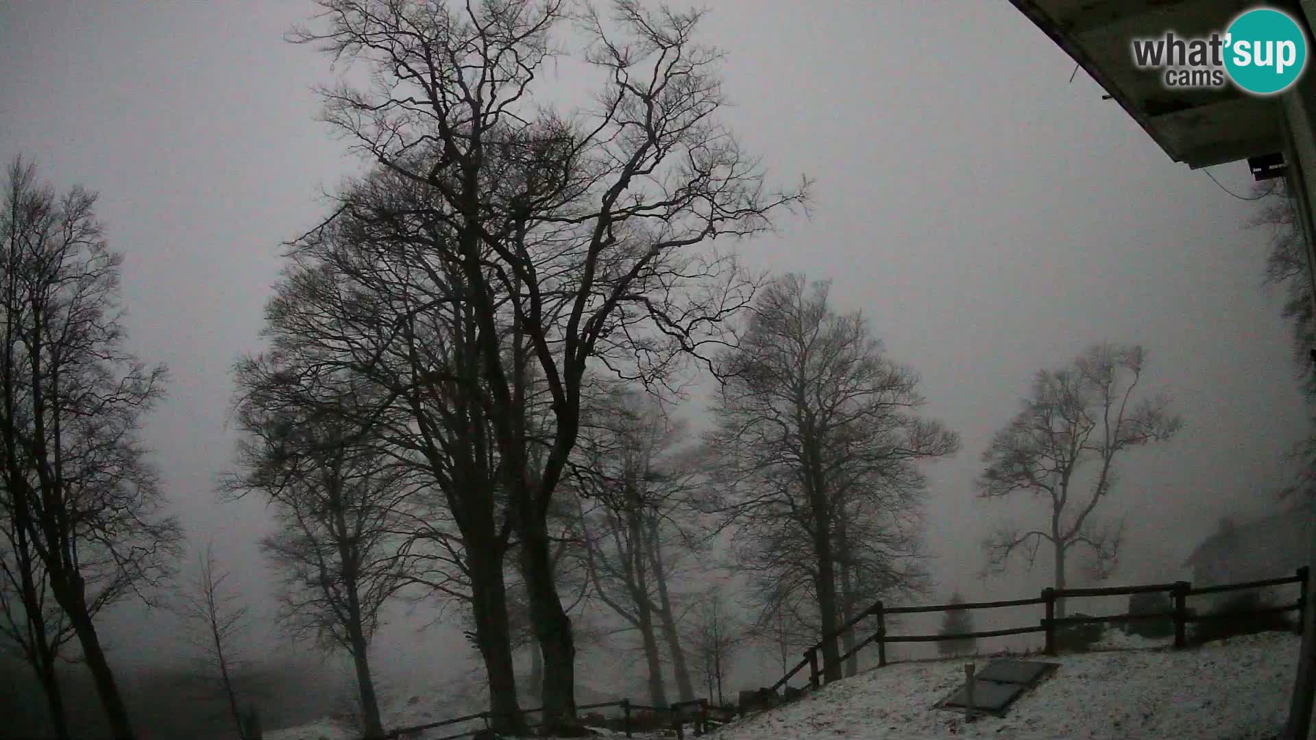 Planina Razor Bergütte Webcam (1315) | Blick auf Tolminski Migovec