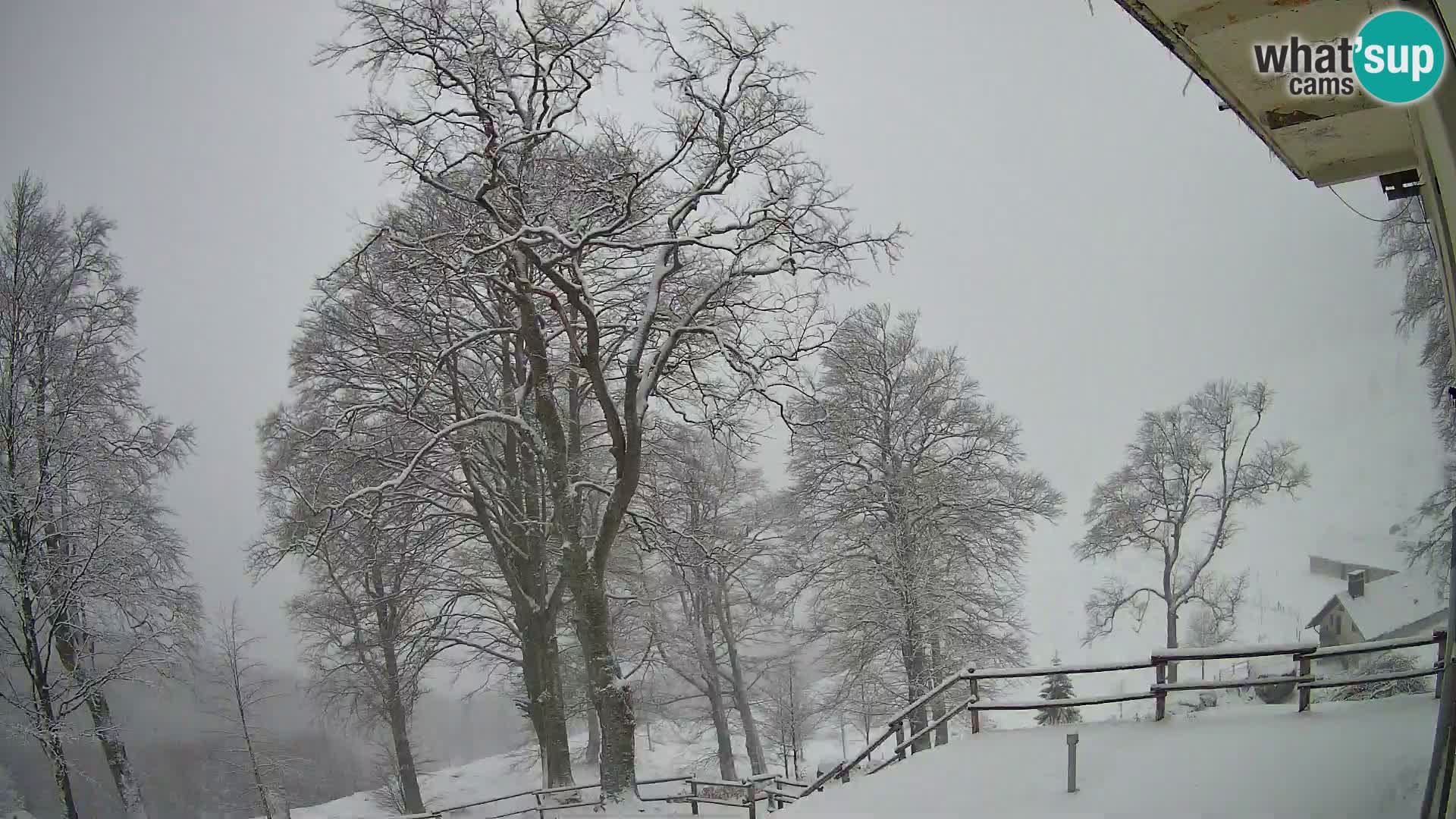 Refuge de la montagne Planina Razor caméra en direct (1315) | vue sur Tolminski Migovec