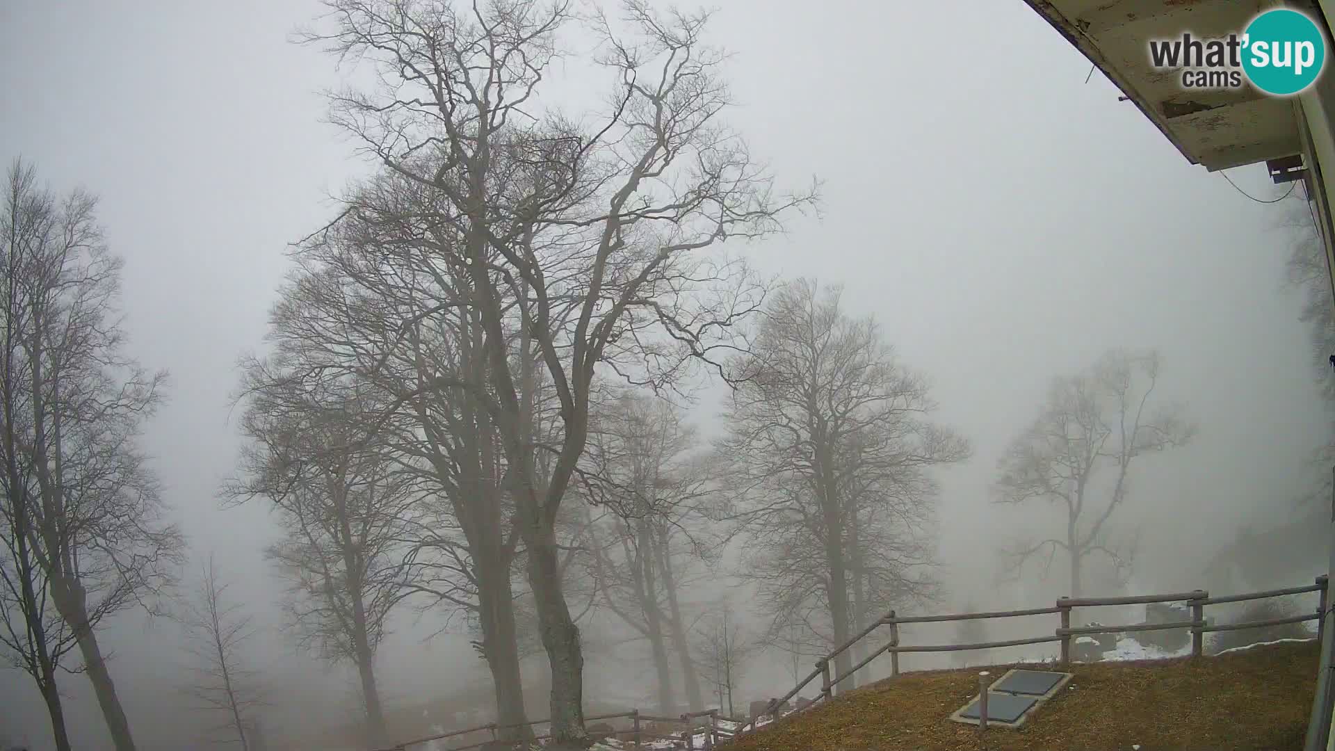 Refuge de la montagne Planina Razor caméra en direct (1315) | vue sur Tolminski Migovec