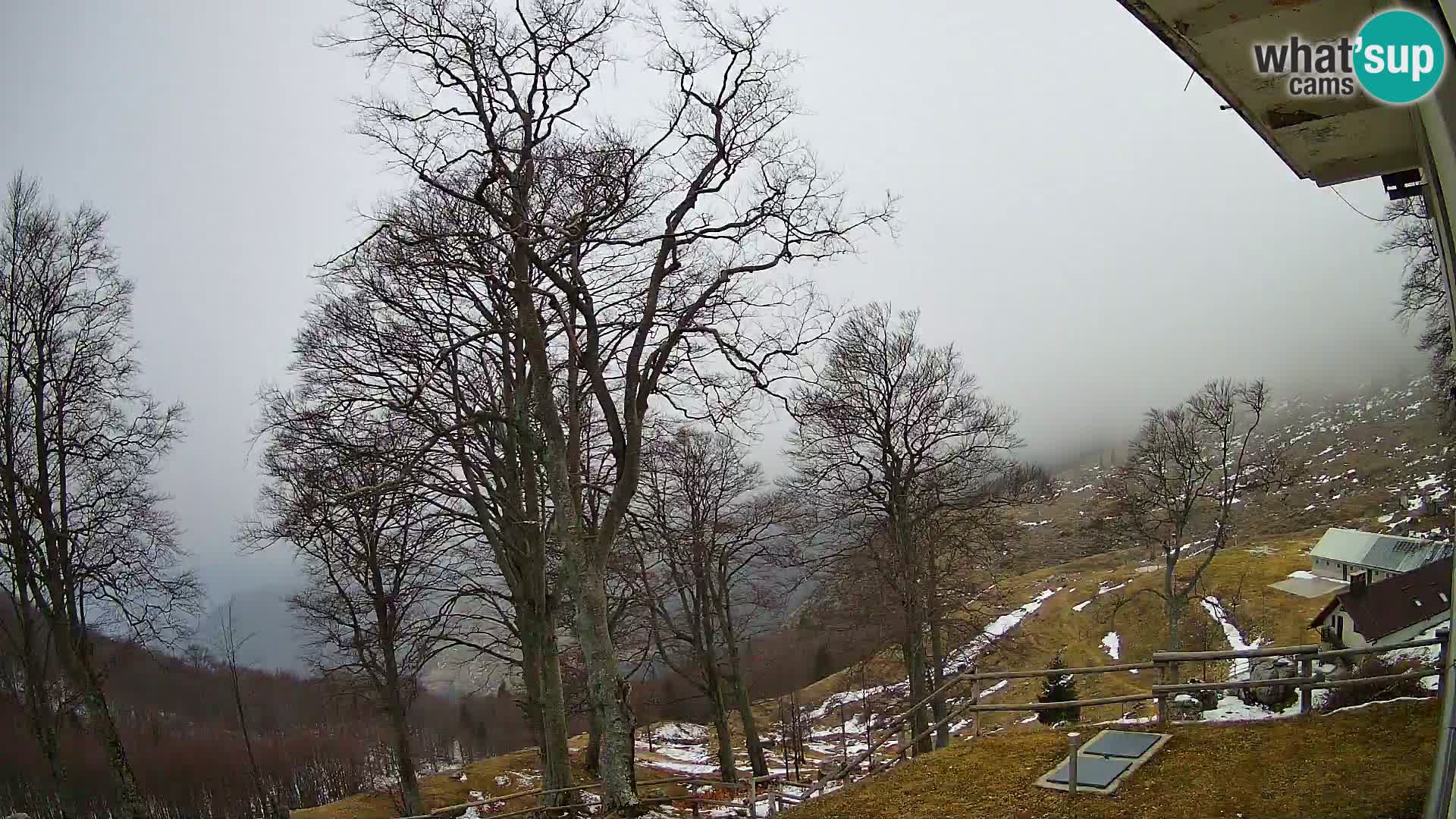 Baita di montagna Planina Razor webcam (1315) | vista su Tolminski Migovec