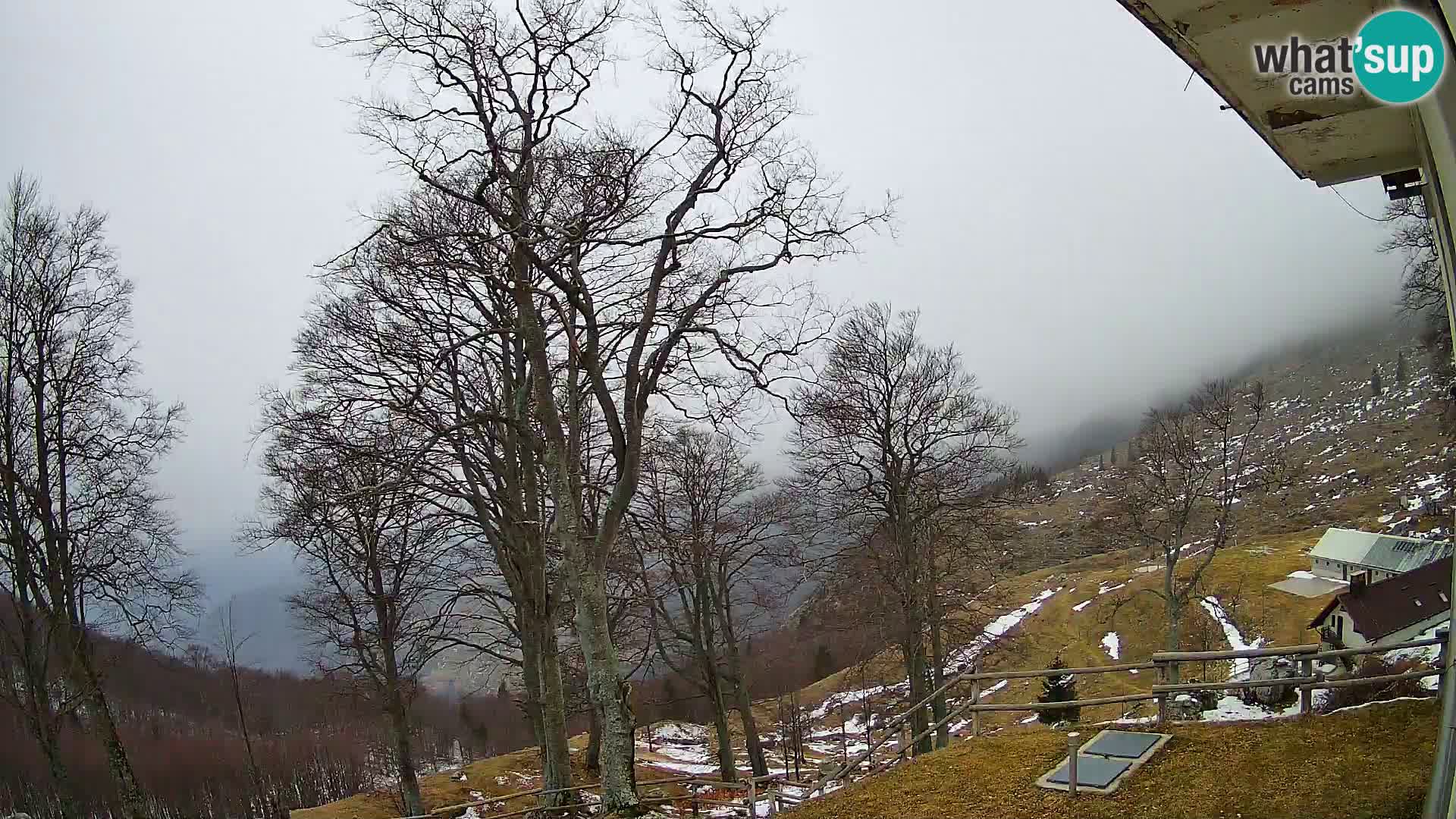 Baita di montagna Planina Razor webcam (1315) | vista su Tolminski Migovec