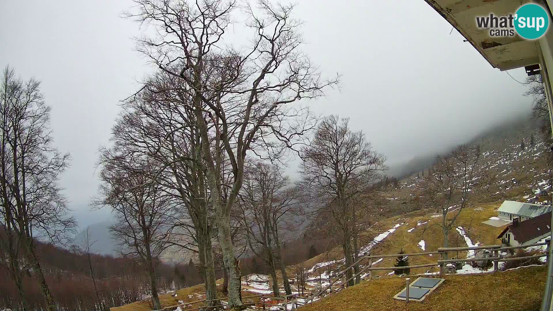 Planina Razor Mountain Hut live cam (1315) | view to Tolminski Migovec