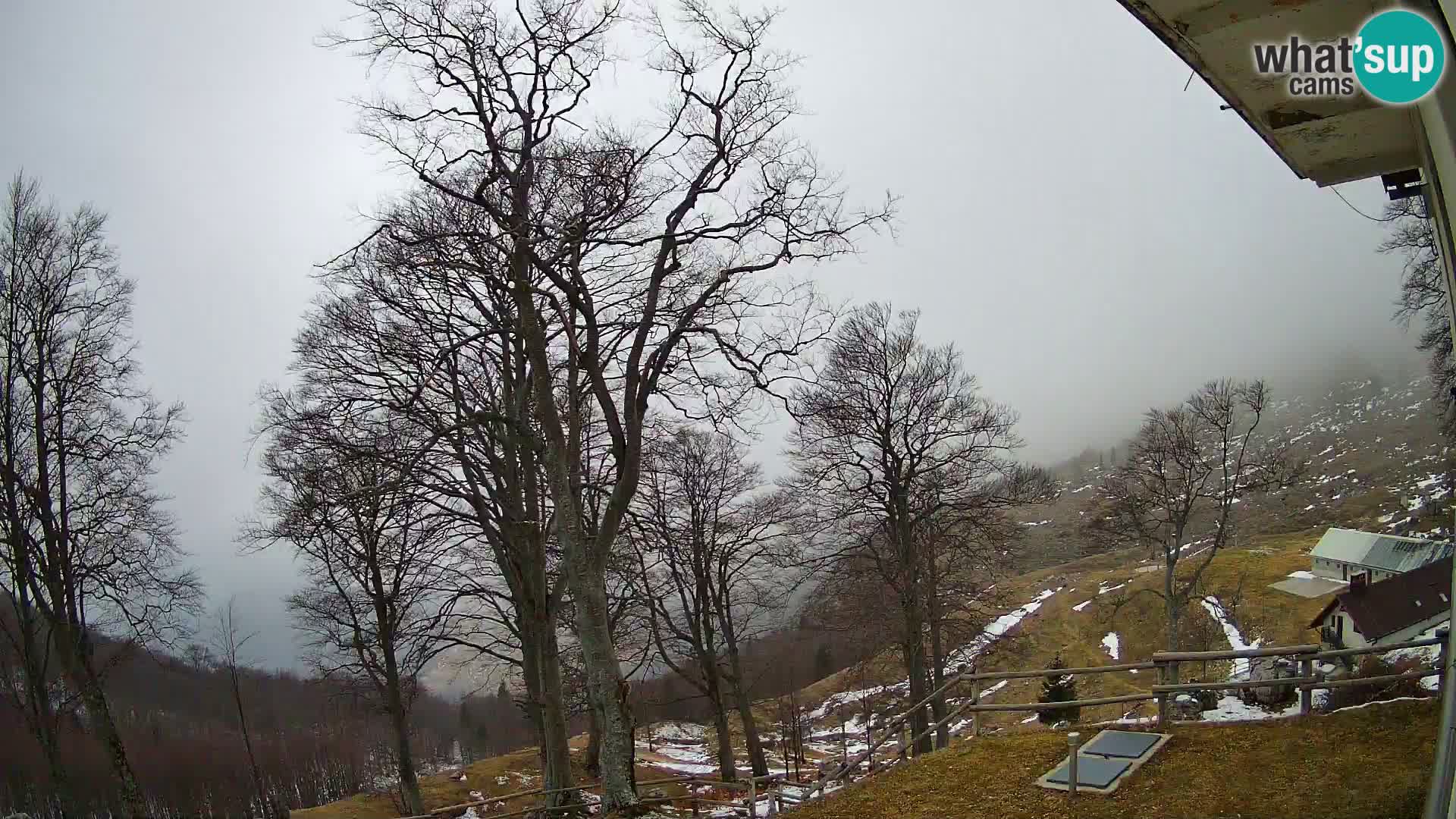 Baita di montagna Planina Razor webcam (1315) | vista su Tolminski Migovec