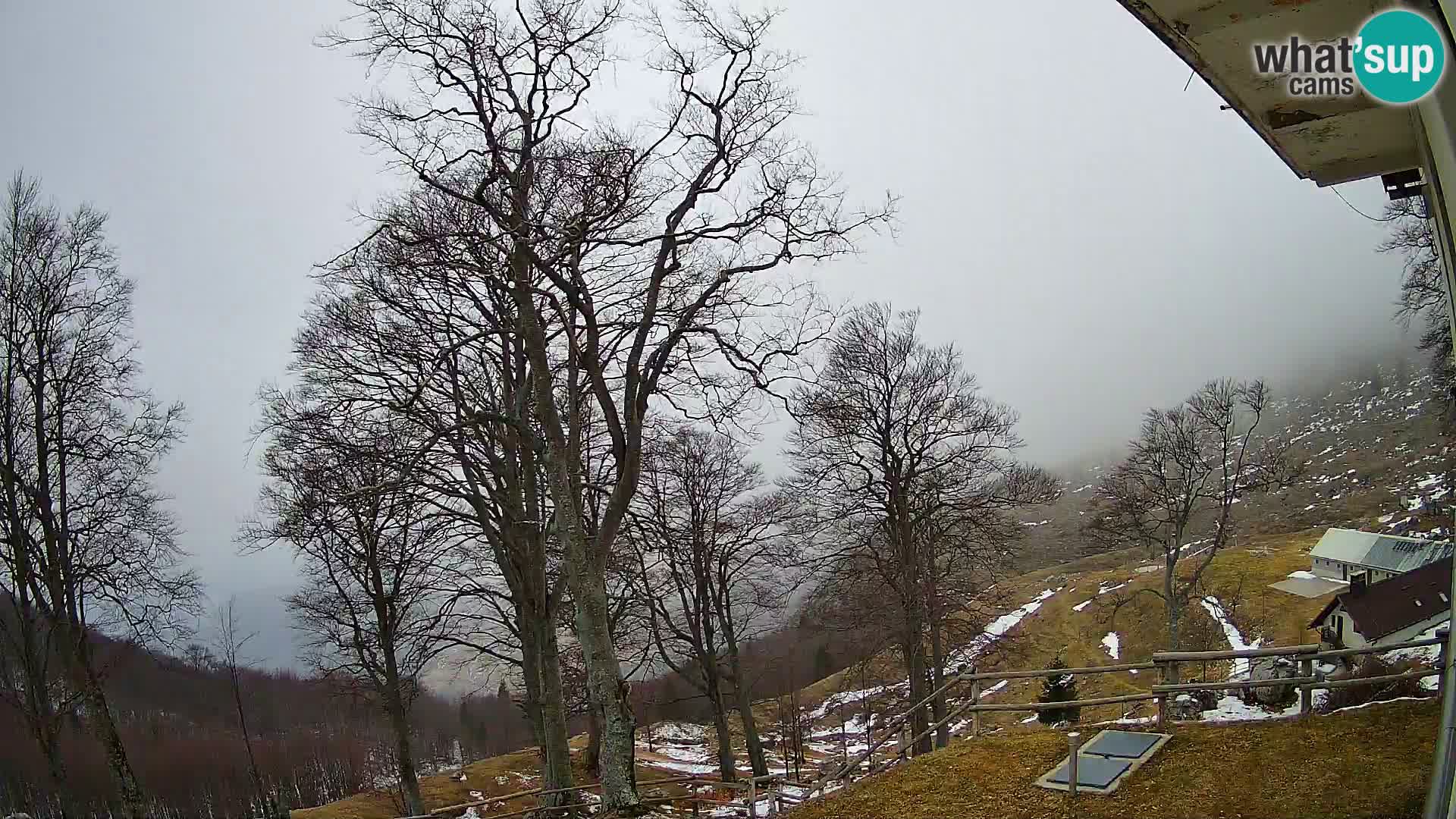 Baita di montagna Planina Razor webcam (1315) | vista su Tolminski Migovec