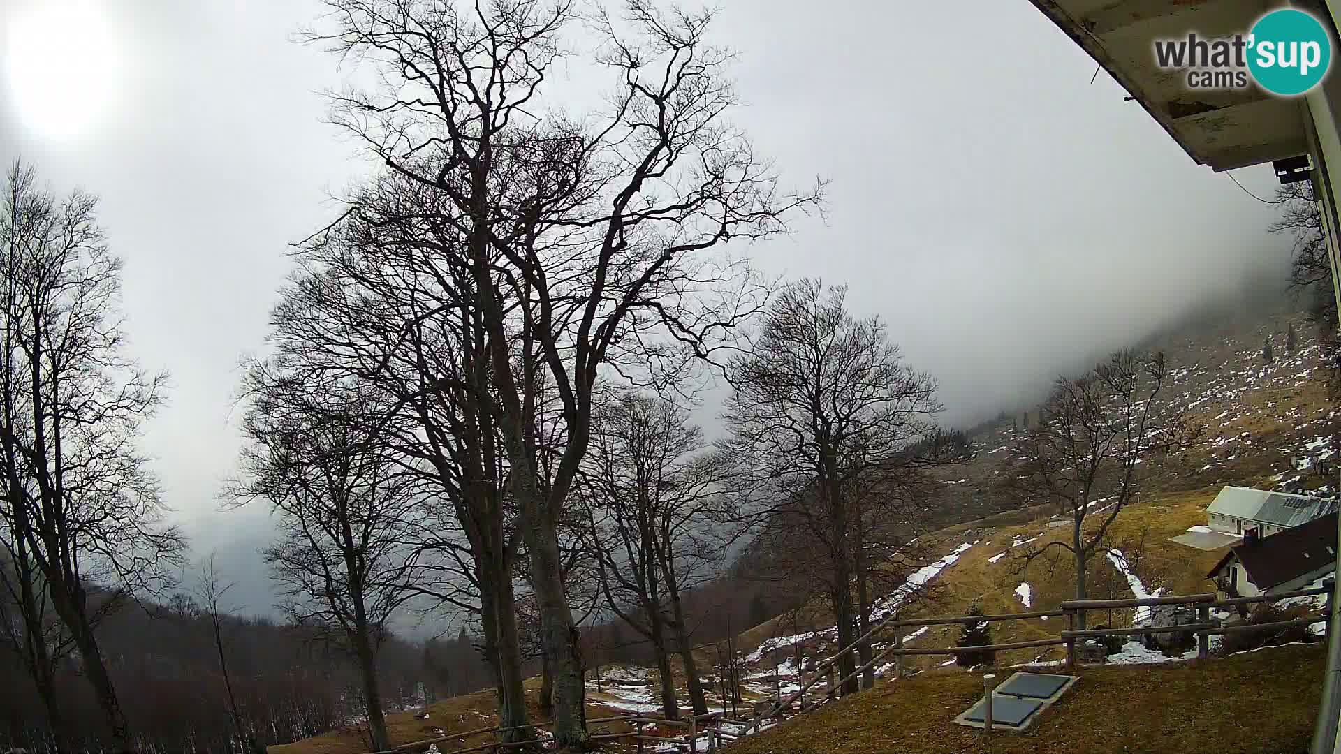 Baita di montagna Planina Razor webcam (1315) | vista su Tolminski Migovec