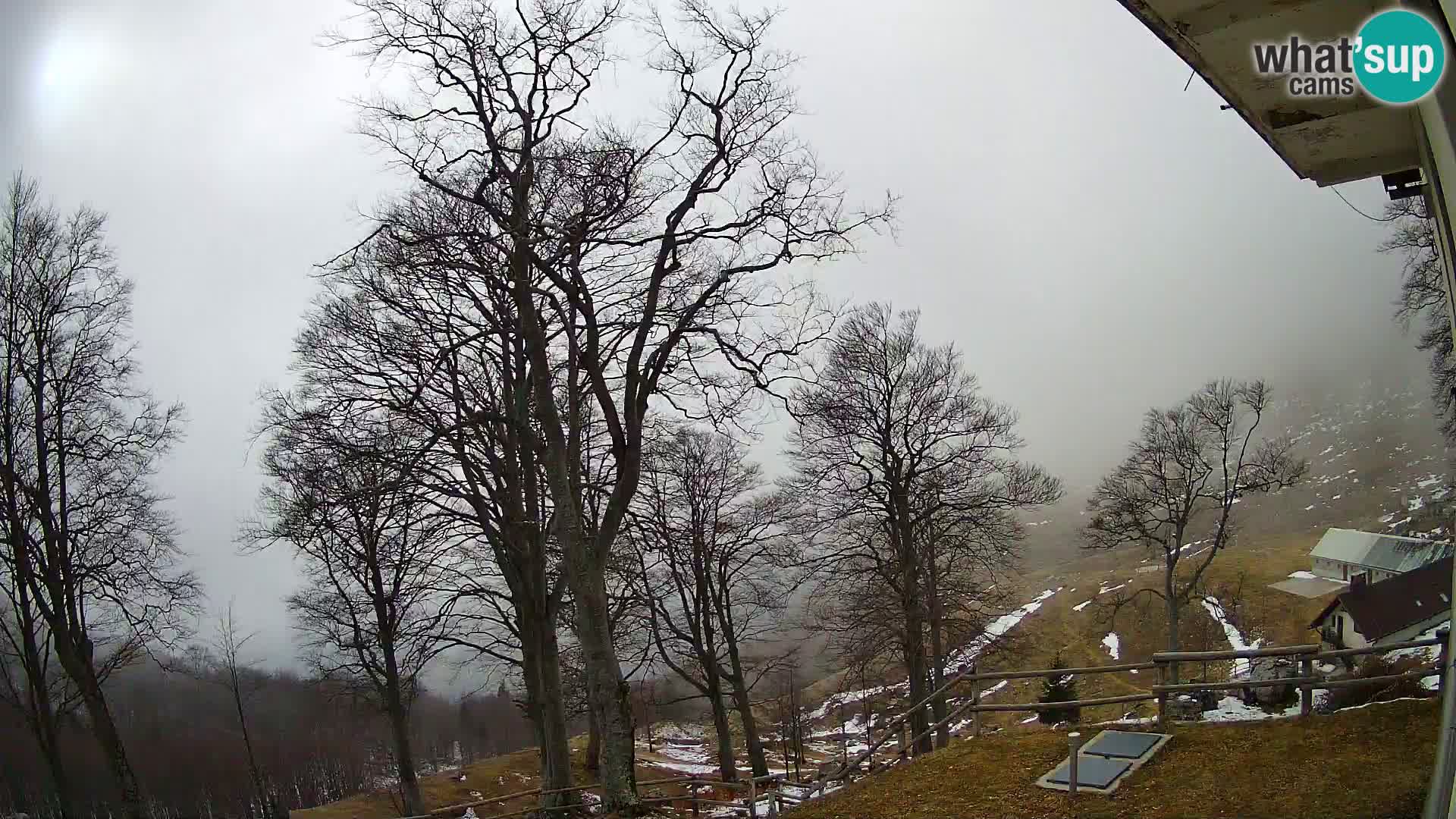 Baita di montagna Planina Razor webcam (1315) | vista su Tolminski Migovec