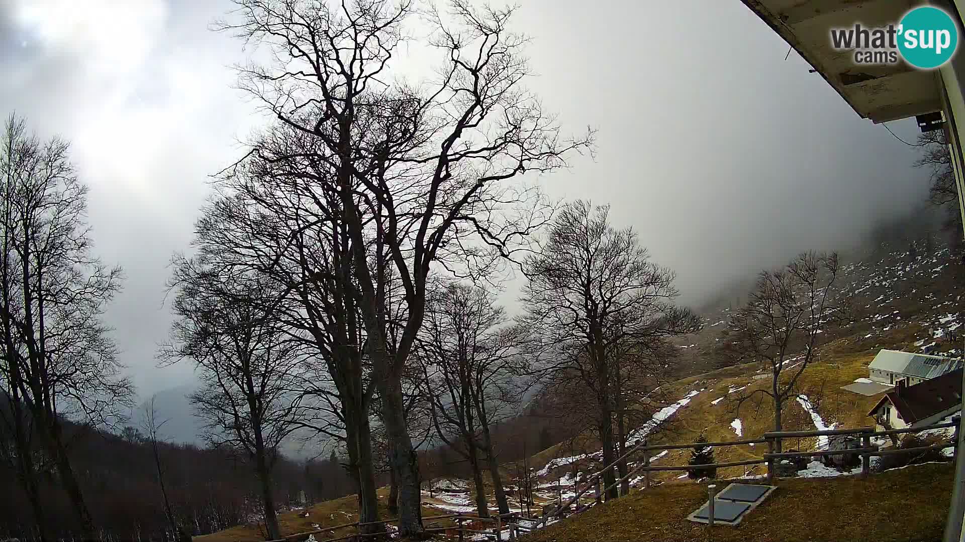 Baita di montagna Planina Razor webcam (1315) | vista su Tolminski Migovec