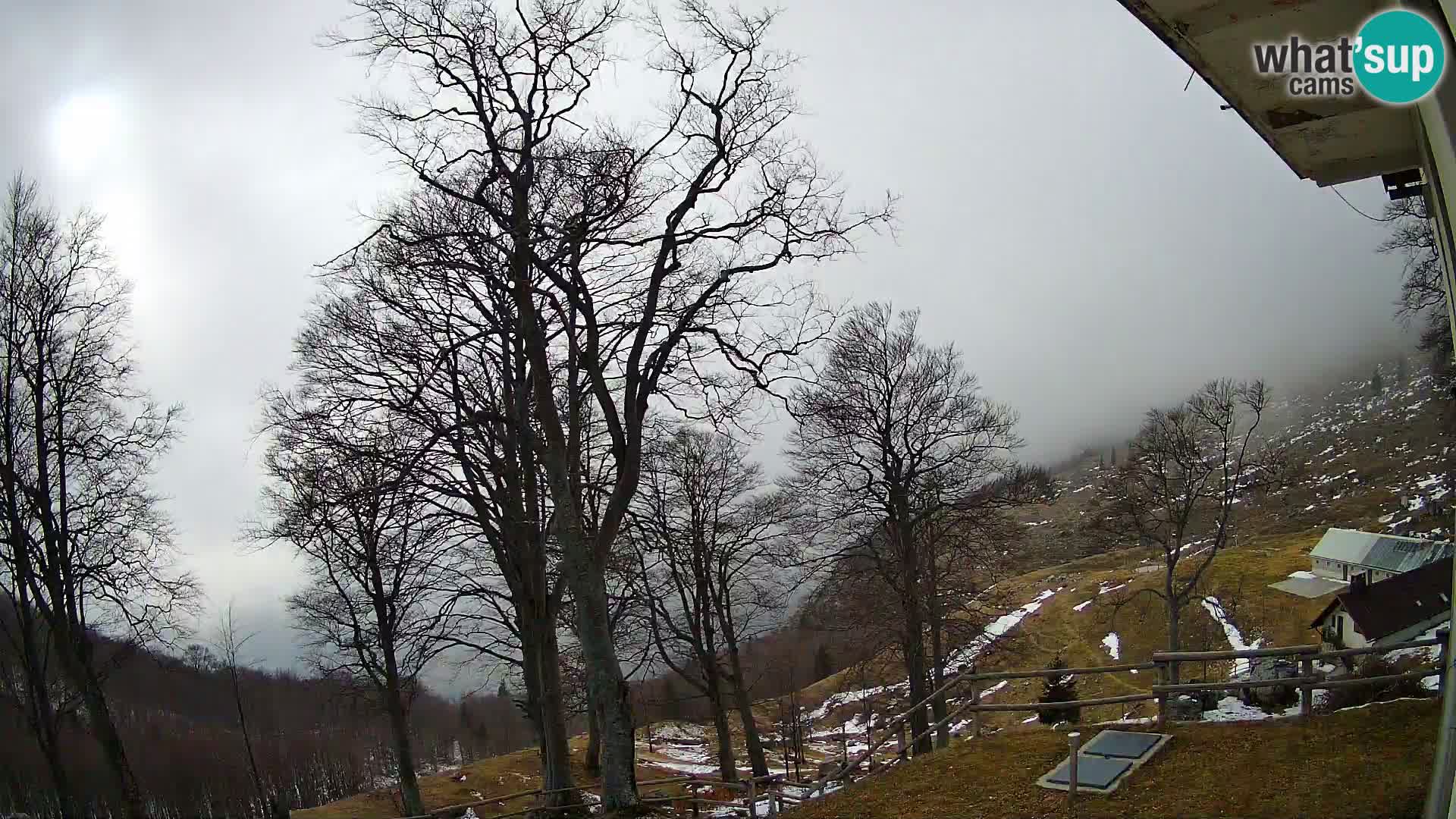 Baita di montagna Planina Razor webcam (1315) | vista su Tolminski Migovec