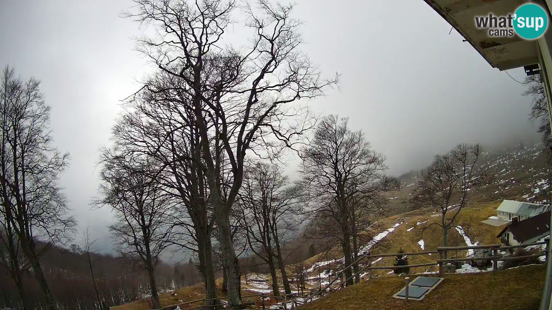 Baita di montagna Planina Razor webcam (1315) | vista su Tolminski Migovec