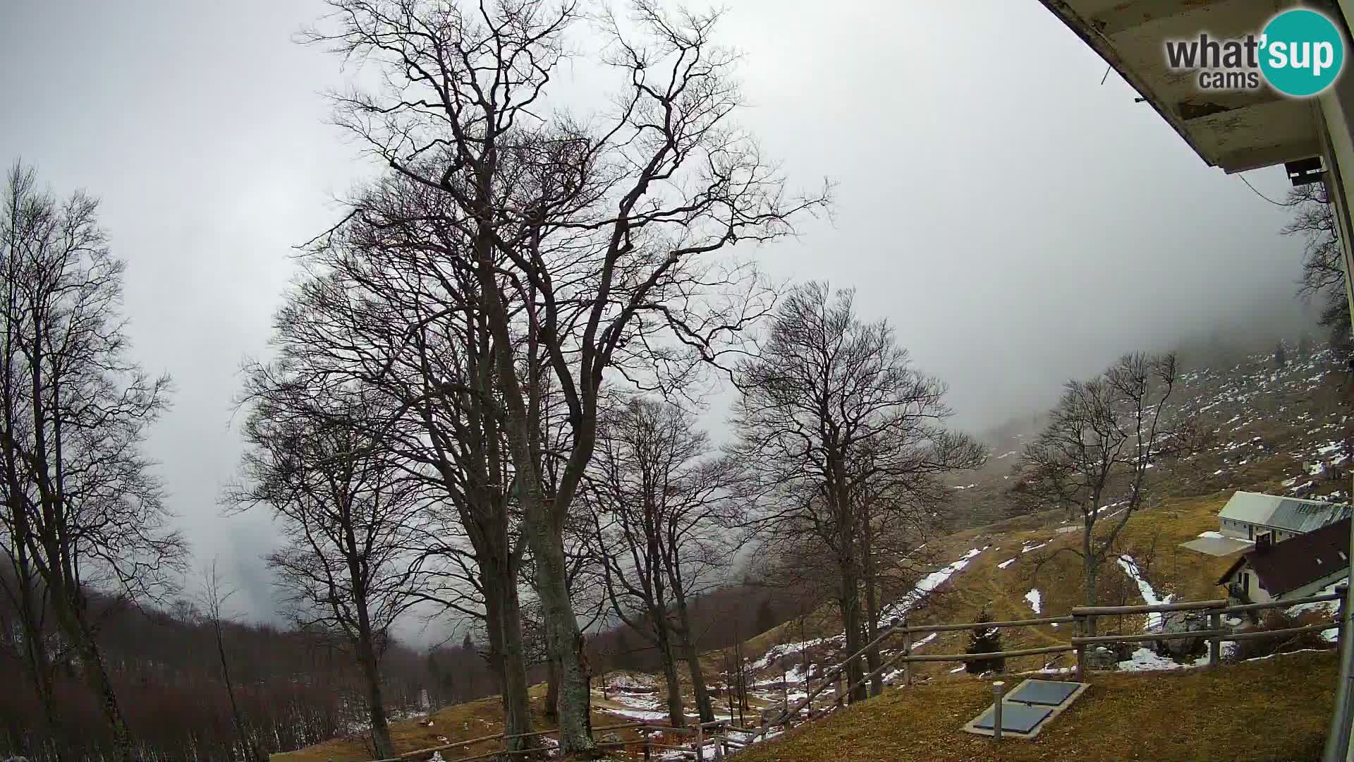 Baita di montagna Planina Razor webcam (1315) | vista su Tolminski Migovec