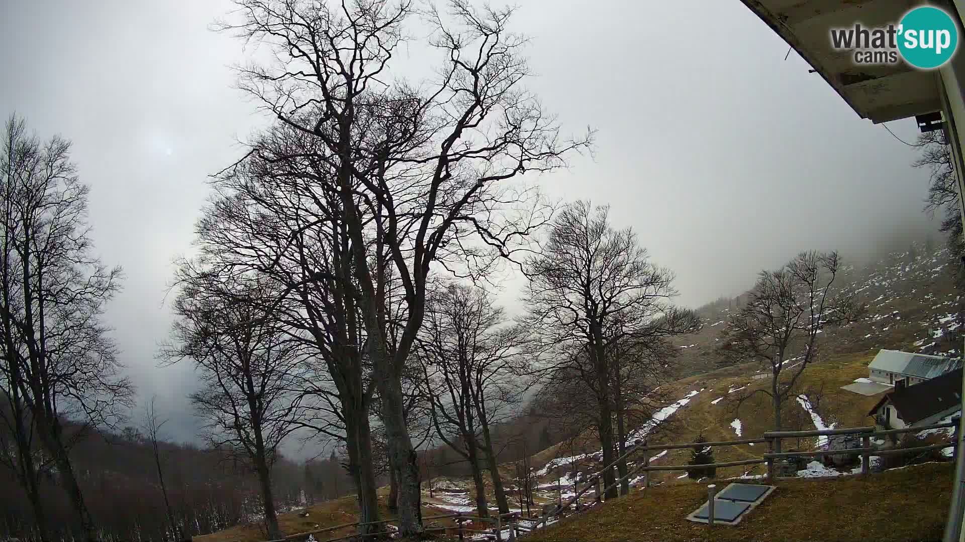 Cámara en vivo de la cabaña de montaña Planina Razor (1315) | vista hacia Tolminski Migovec