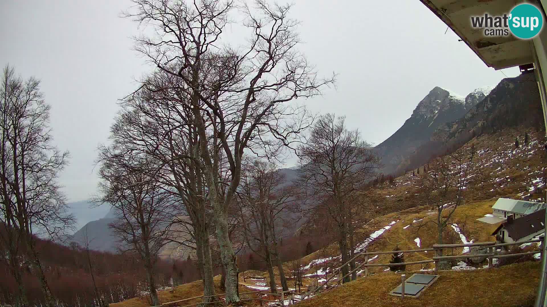 Cámara en vivo de la cabaña de montaña Planina Razor (1315) | vista hacia Tolminski Migovec