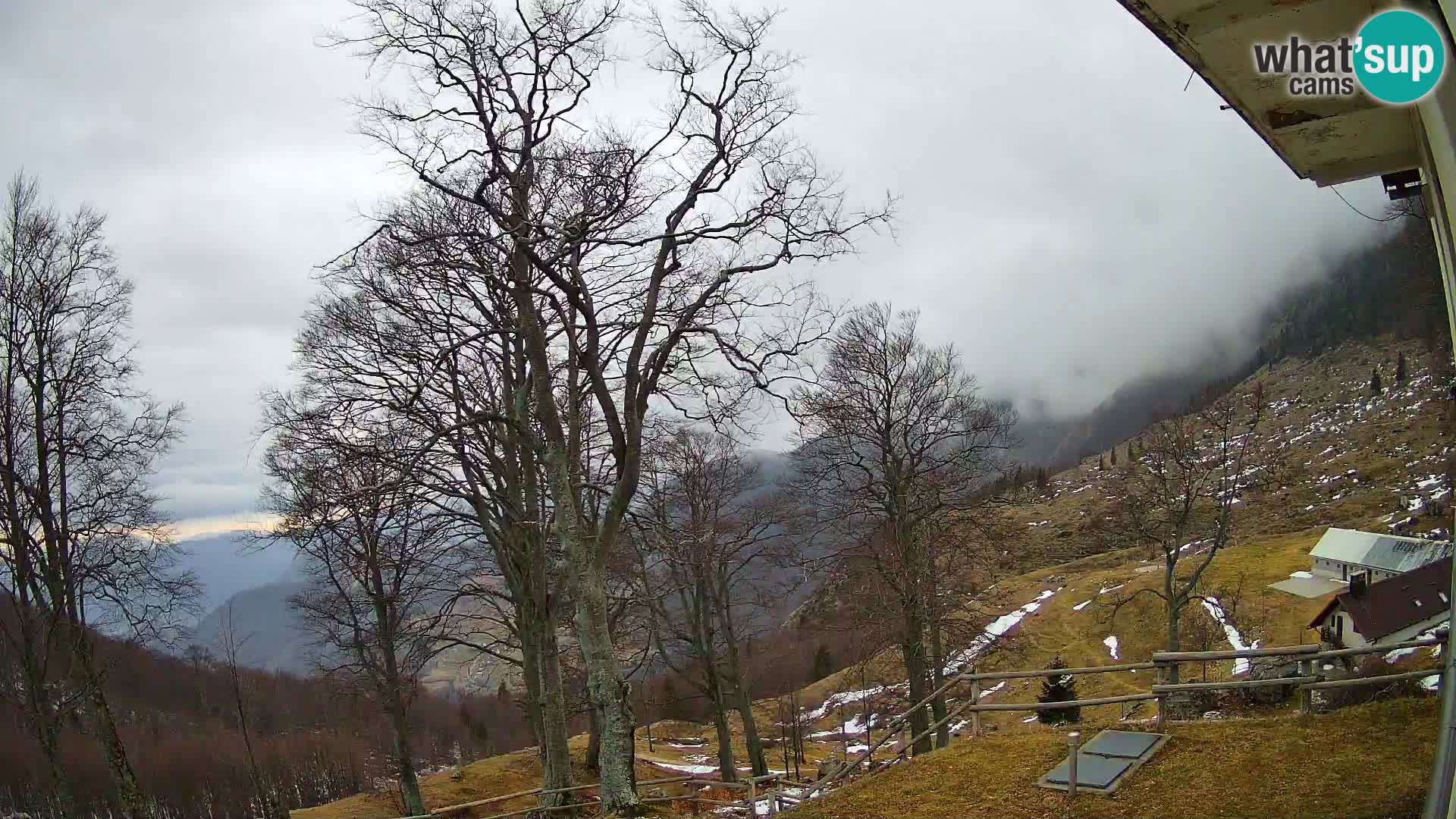 Planina Razor Bergütte Webcam (1315) | Blick auf Tolminski Migovec