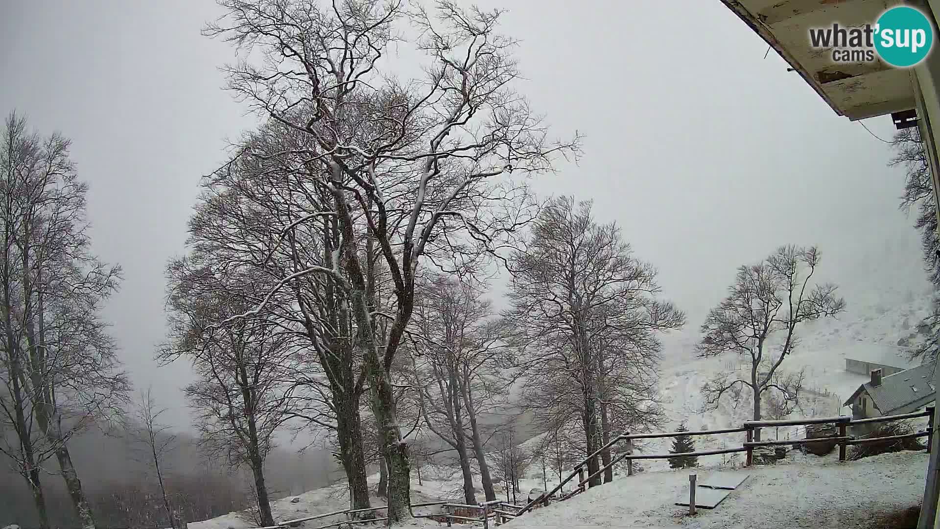 Planina Razor Bergütte Webcam (1315) | Blick auf Tolminski Migovec