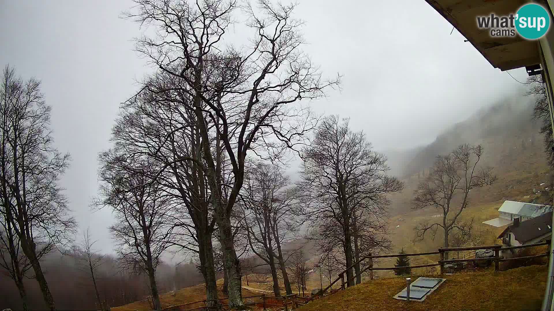 Planina Razor Bergütte Webcam (1315) | Blick auf Tolminski Migovec