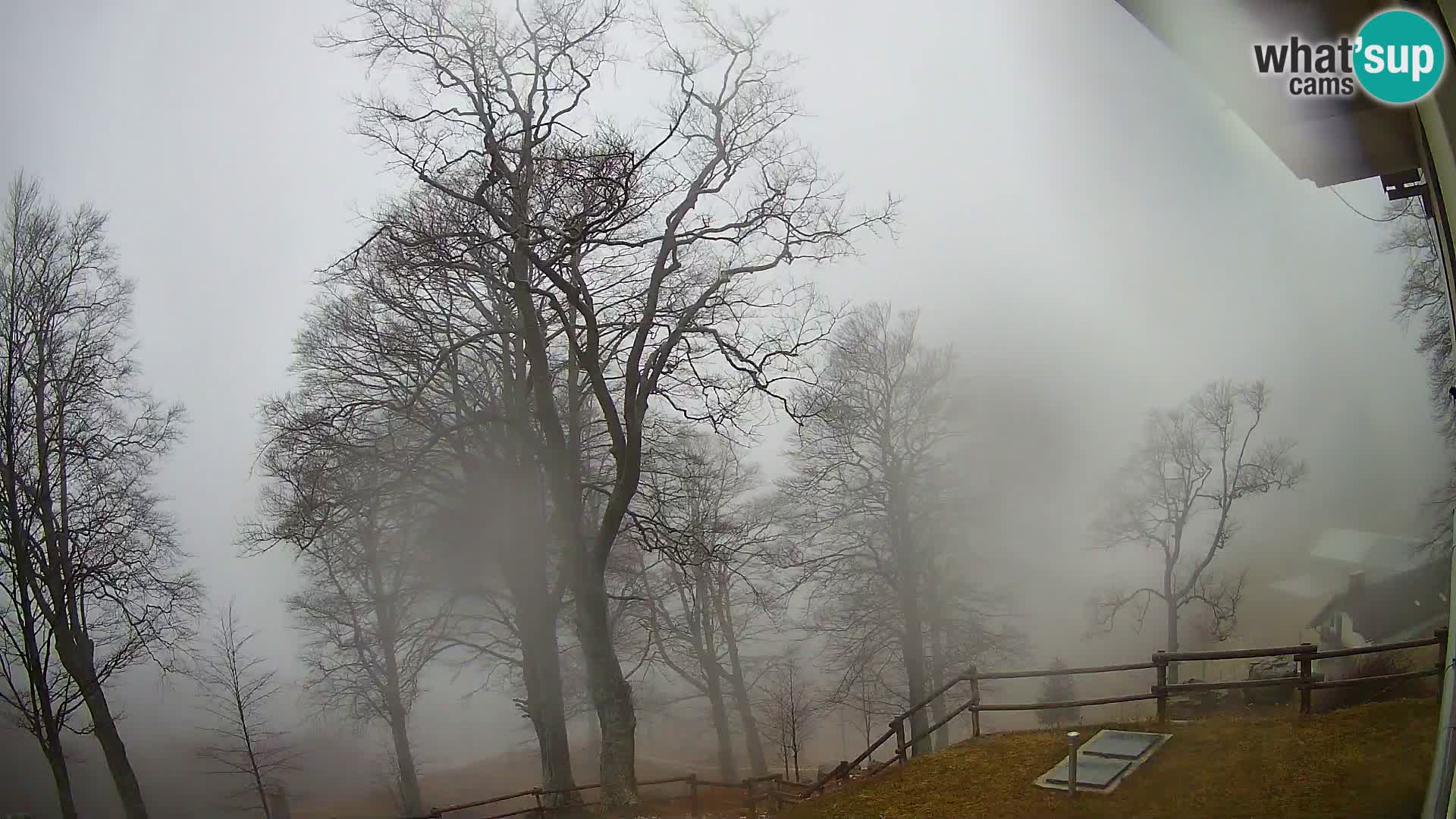 Cámara en vivo de la cabaña de montaña Planina Razor (1315) | vista hacia Tolminski Migovec