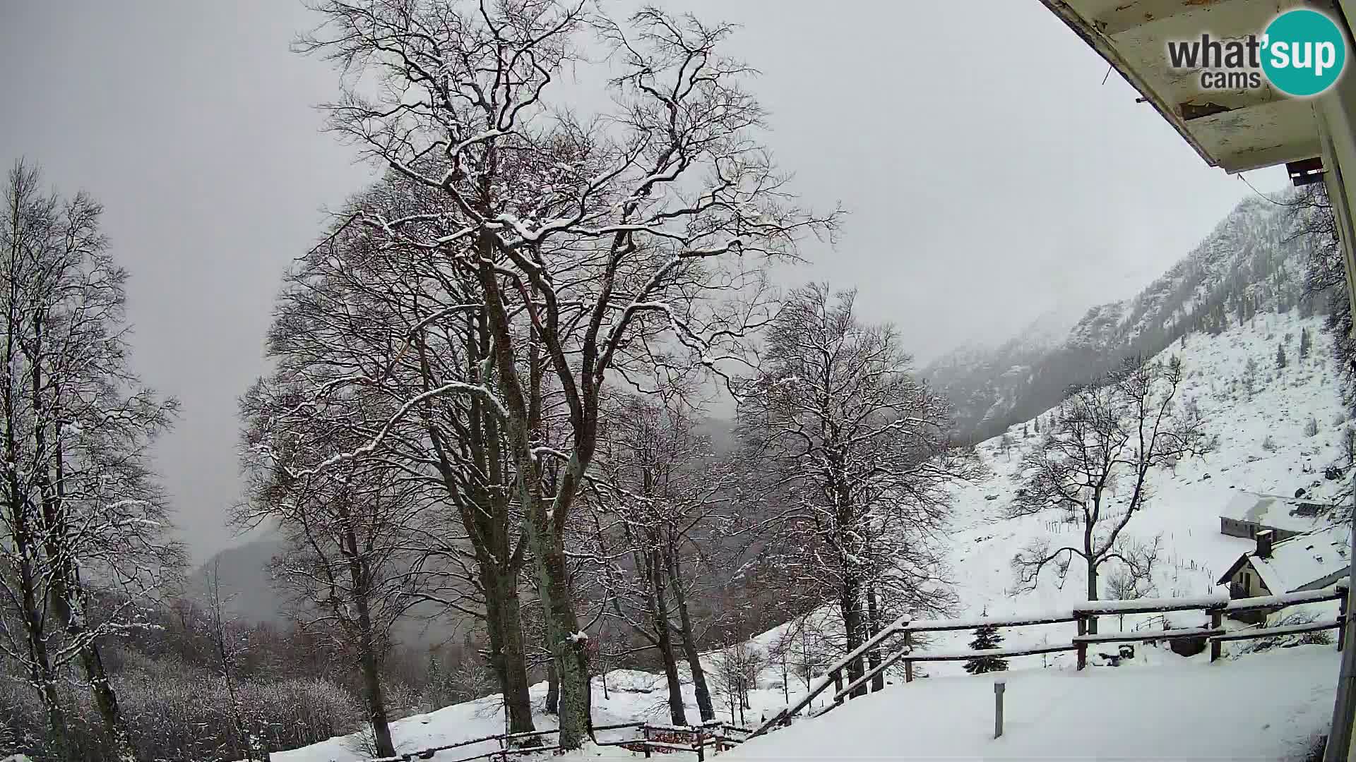 Baita di montagna Planina Razor webcam (1315) | vista su Tolminski Migovec