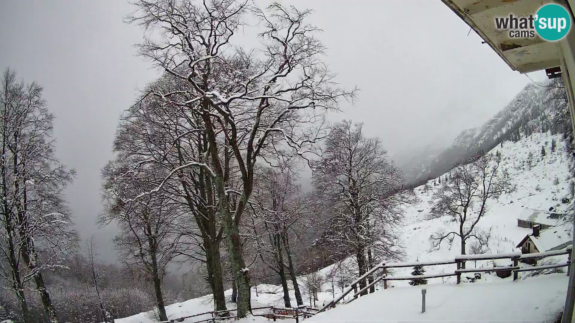 Planina Razor Bergütte Webcam (1315) | Blick auf Tolminski Migovec