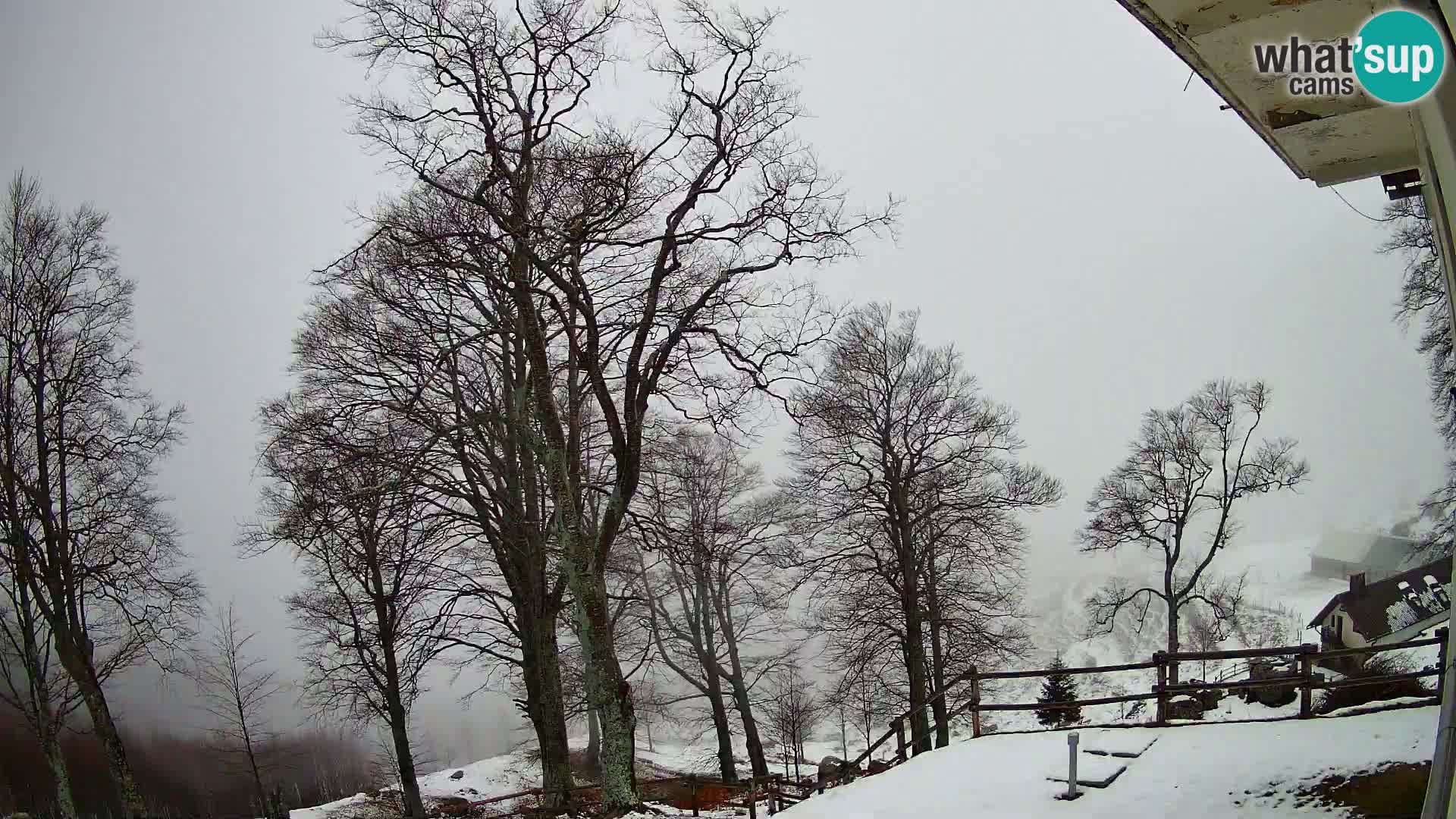 Baita di montagna Planina Razor webcam (1315) | vista su Tolminski Migovec