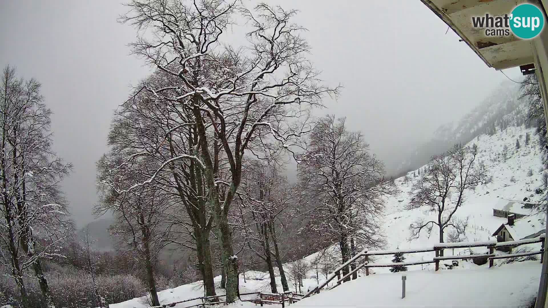 Refuge de la montagne Planina Razor caméra en direct (1315) | vue sur Tolminski Migovec