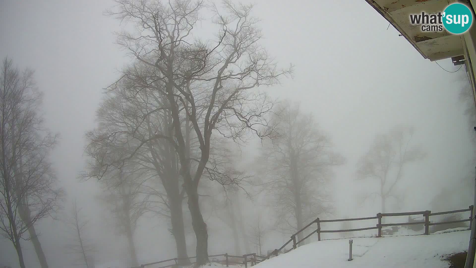 Baita di montagna Planina Razor webcam (1315) | vista su Tolminski Migovec