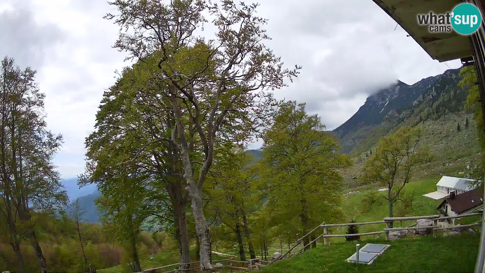 Planina Razor Bergütte Webcam (1315) | Blick auf Tolminski Migovec