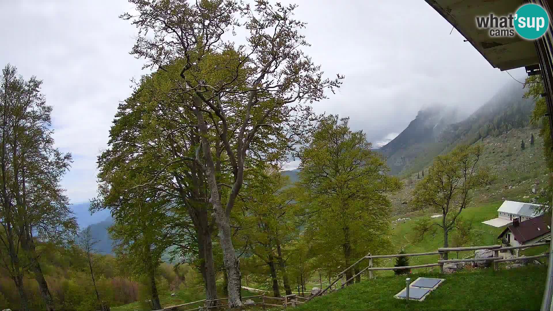 Baita di montagna Planina Razor webcam (1315) | vista su Tolminski Migovec