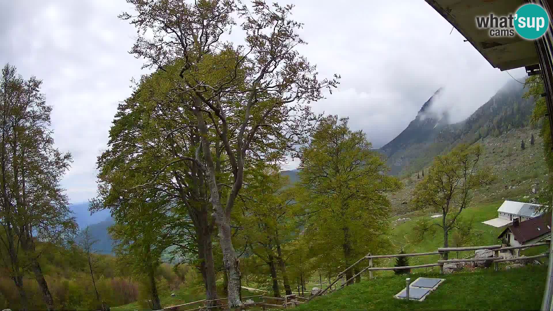 Baita di montagna Planina Razor webcam (1315) | vista su Tolminski Migovec