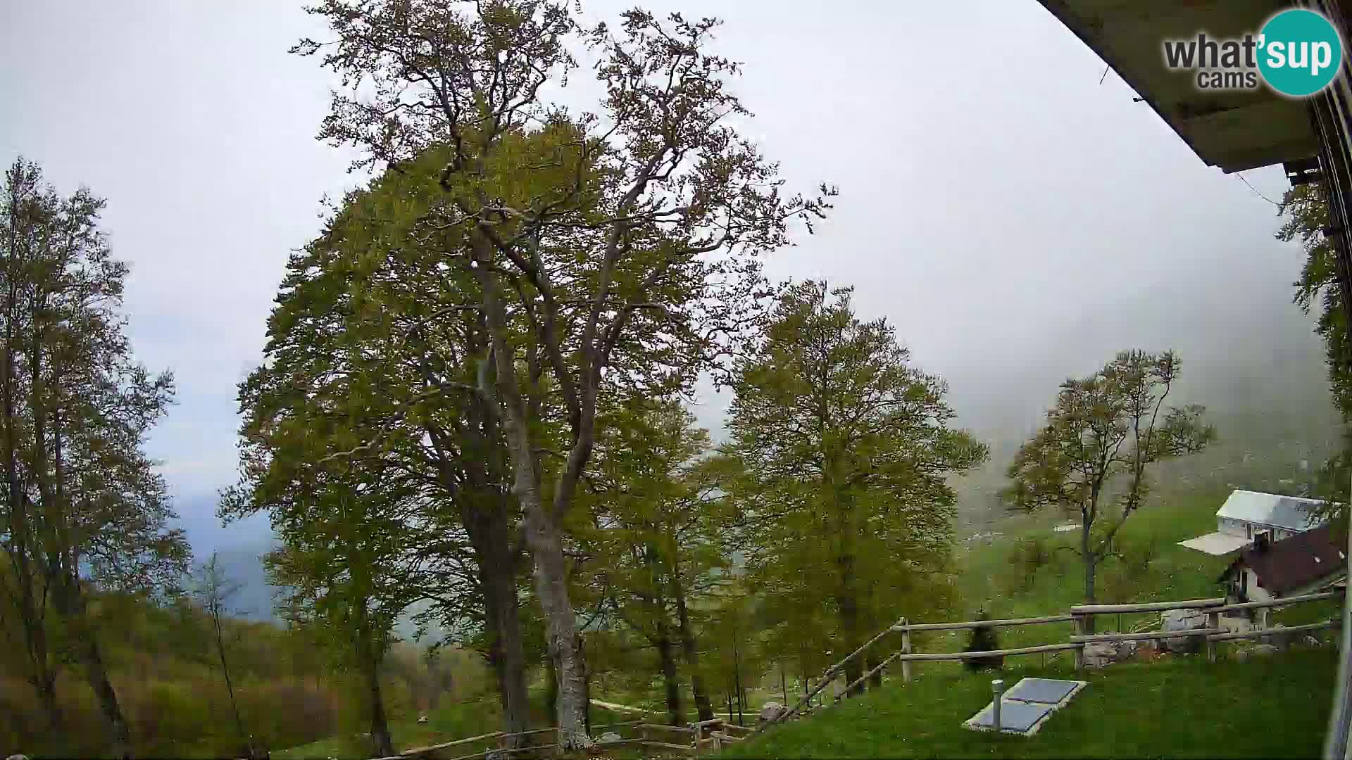 Planina Razor Mountain Hut live cam (1315) | view to Tolminski Migovec