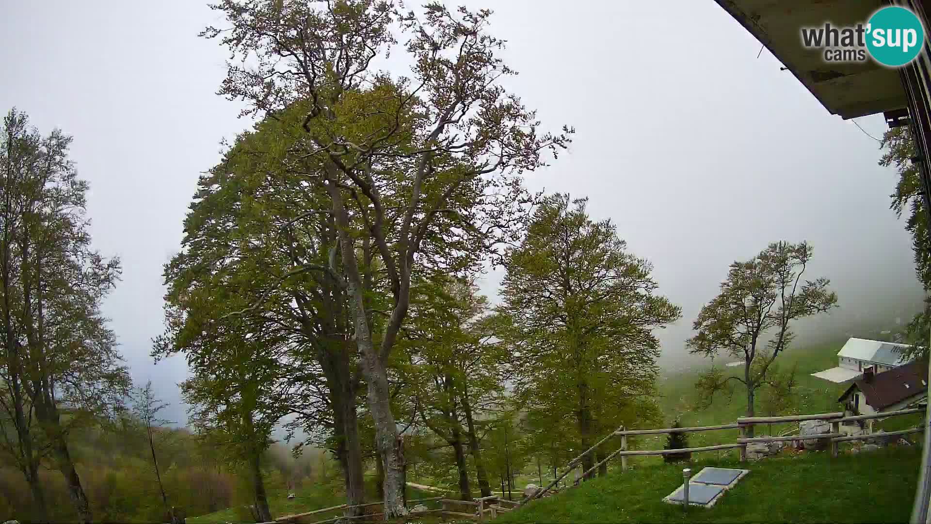 Cámara en vivo de la cabaña de montaña Planina Razor (1315) | vista hacia Tolminski Migovec