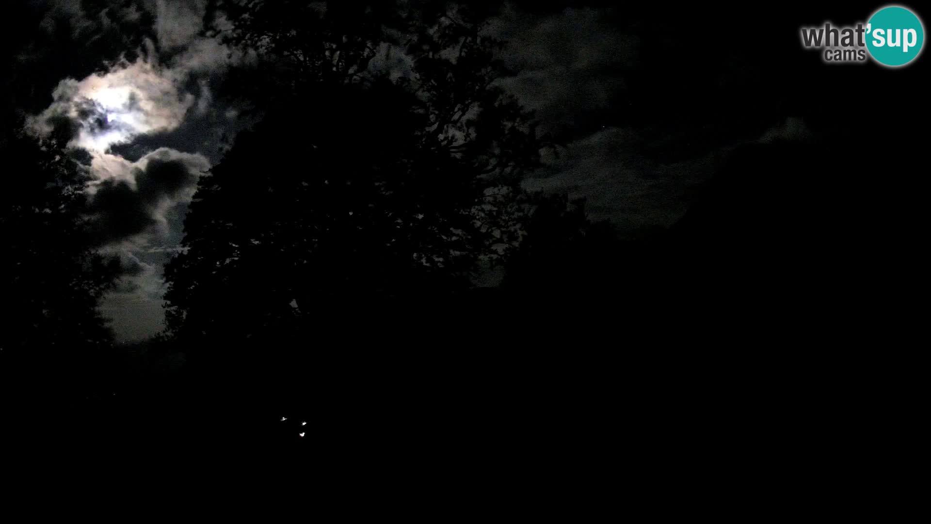 Baita di montagna Planina Razor webcam (1315) | vista su Tolminski Migovec