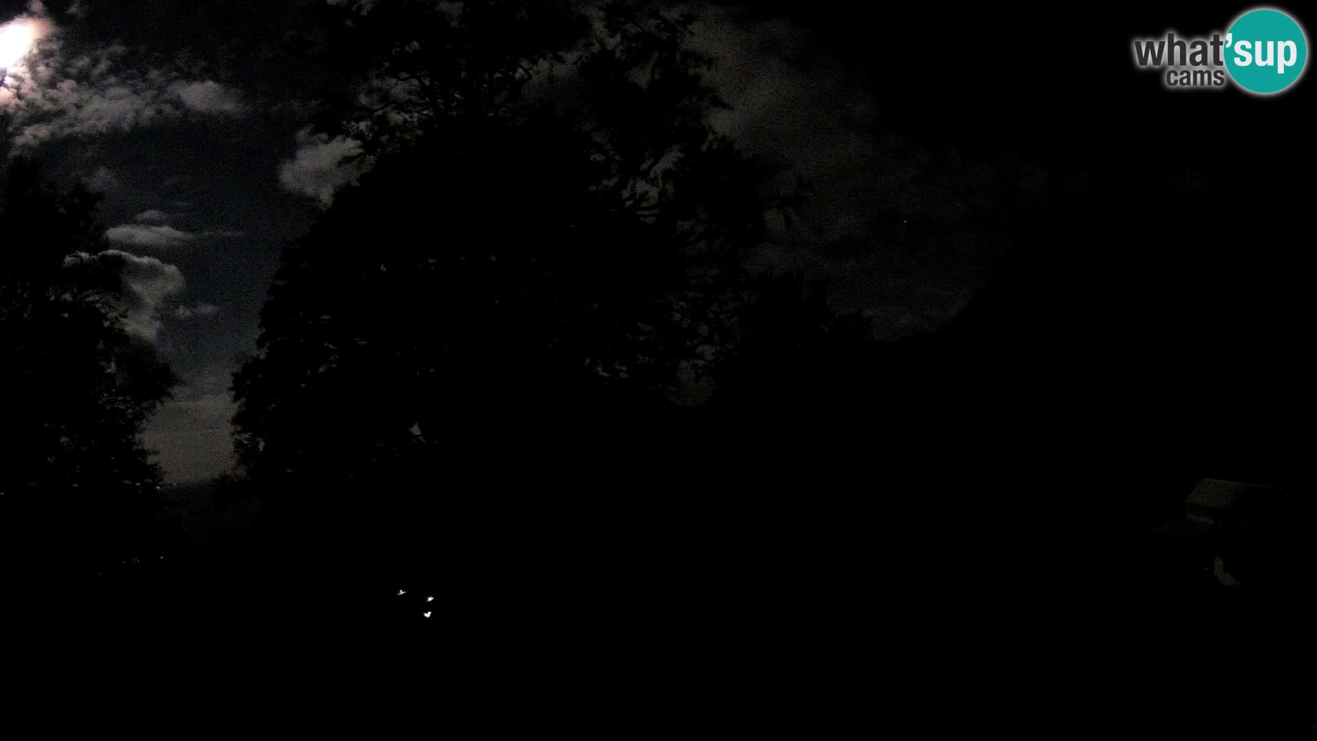Refuge de la montagne Planina Razor caméra en direct (1315) | vue sur Tolminski Migovec