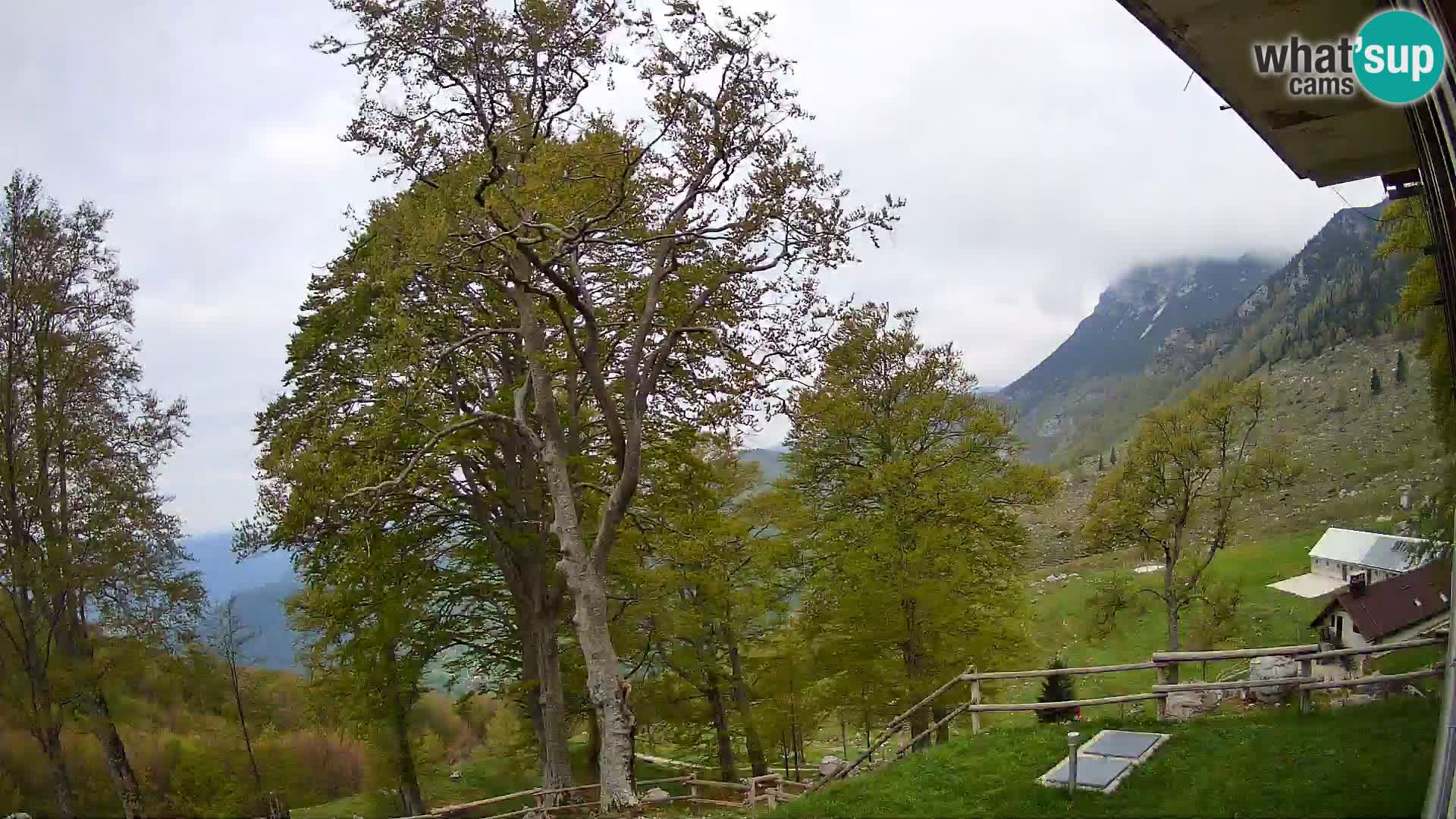 Refuge de la montagne Planina Razor caméra en direct (1315) | vue sur Tolminski Migovec