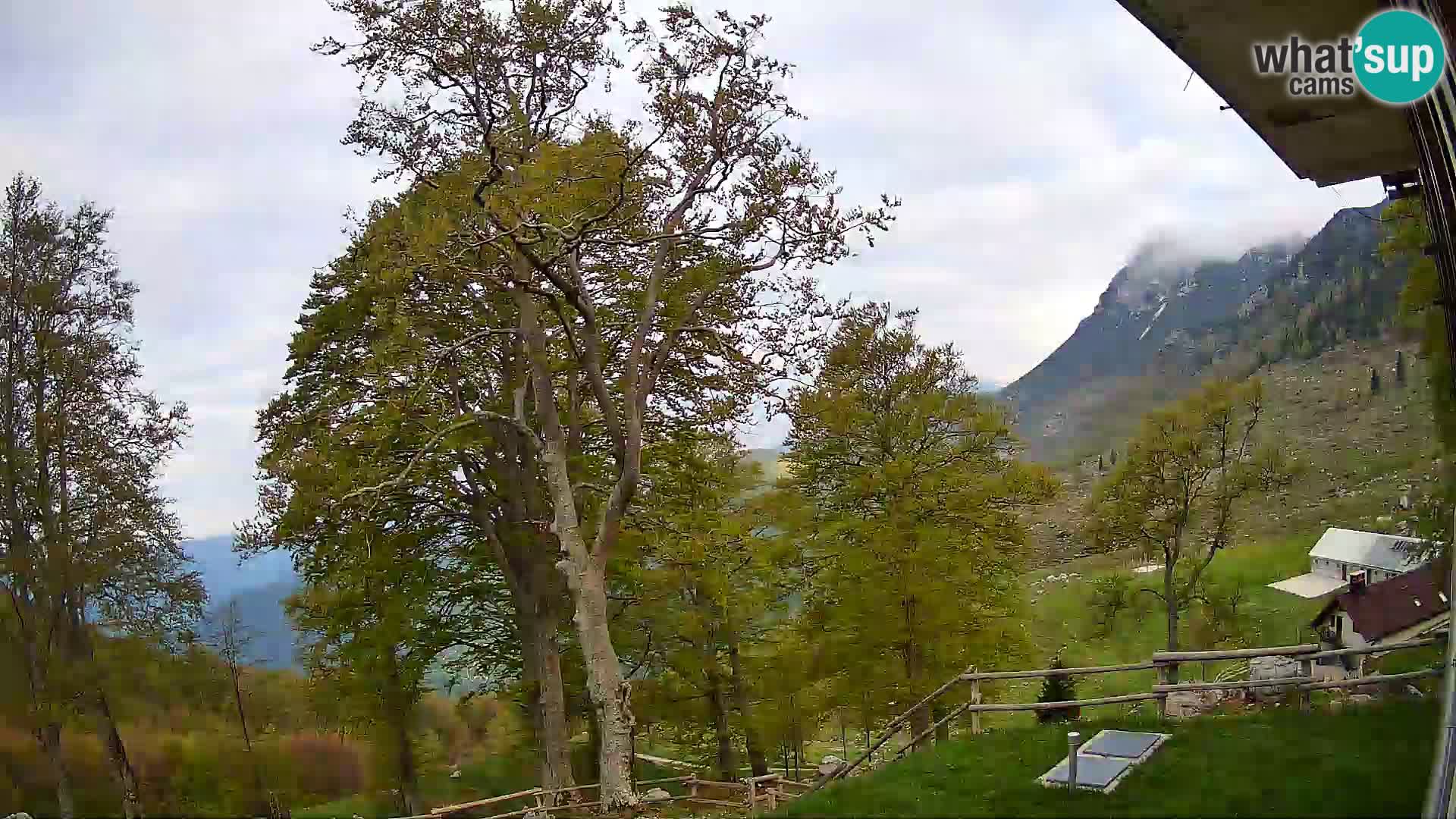 Planina Razor Mountain Hut live cam (1315) | view to Tolminski Migovec