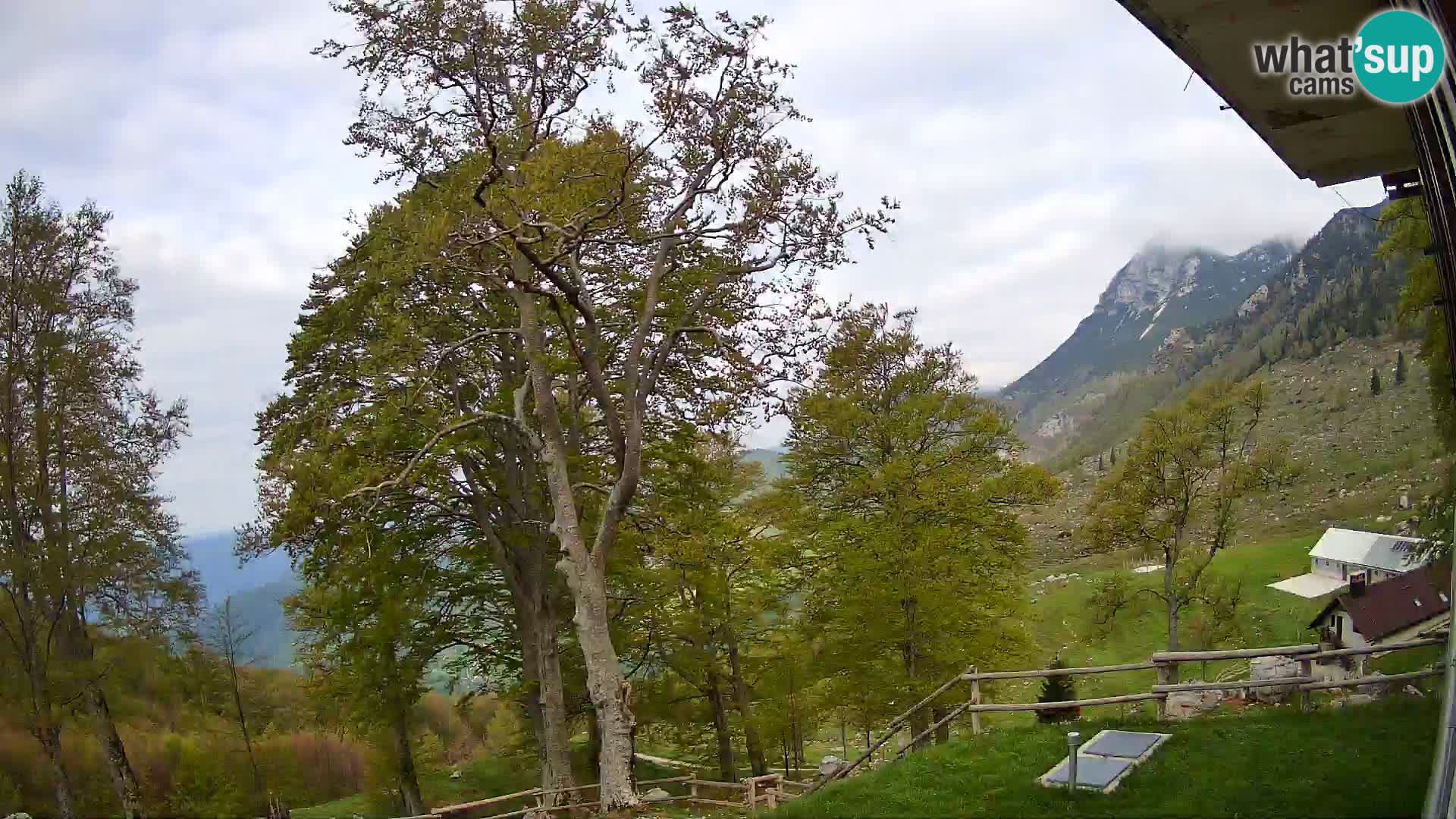 Planina Razor Mountain Hut live cam (1315) | view to Tolminski Migovec