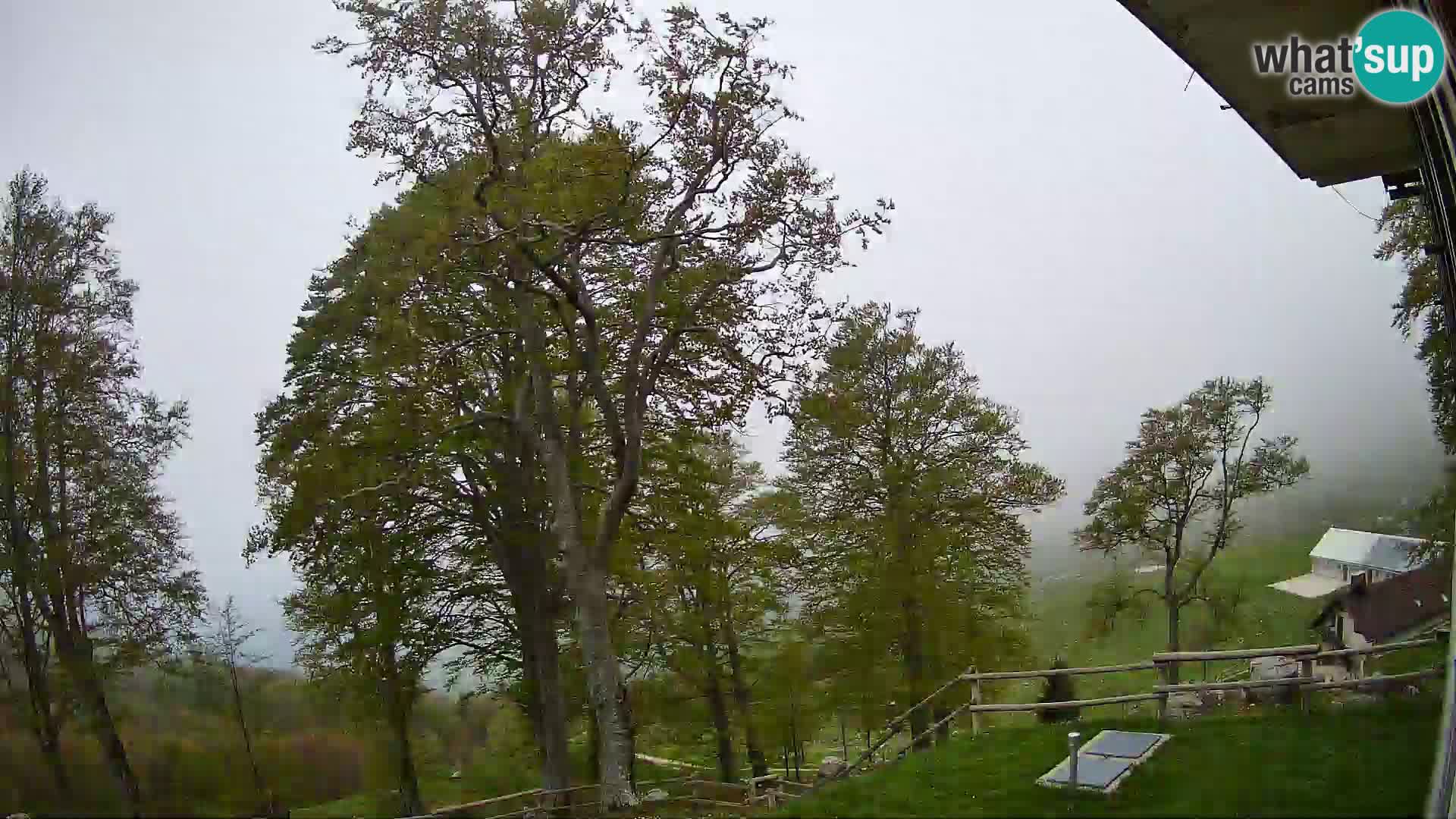 Planina Razor Mountain Hut live cam (1315) | view to Tolminski Migovec