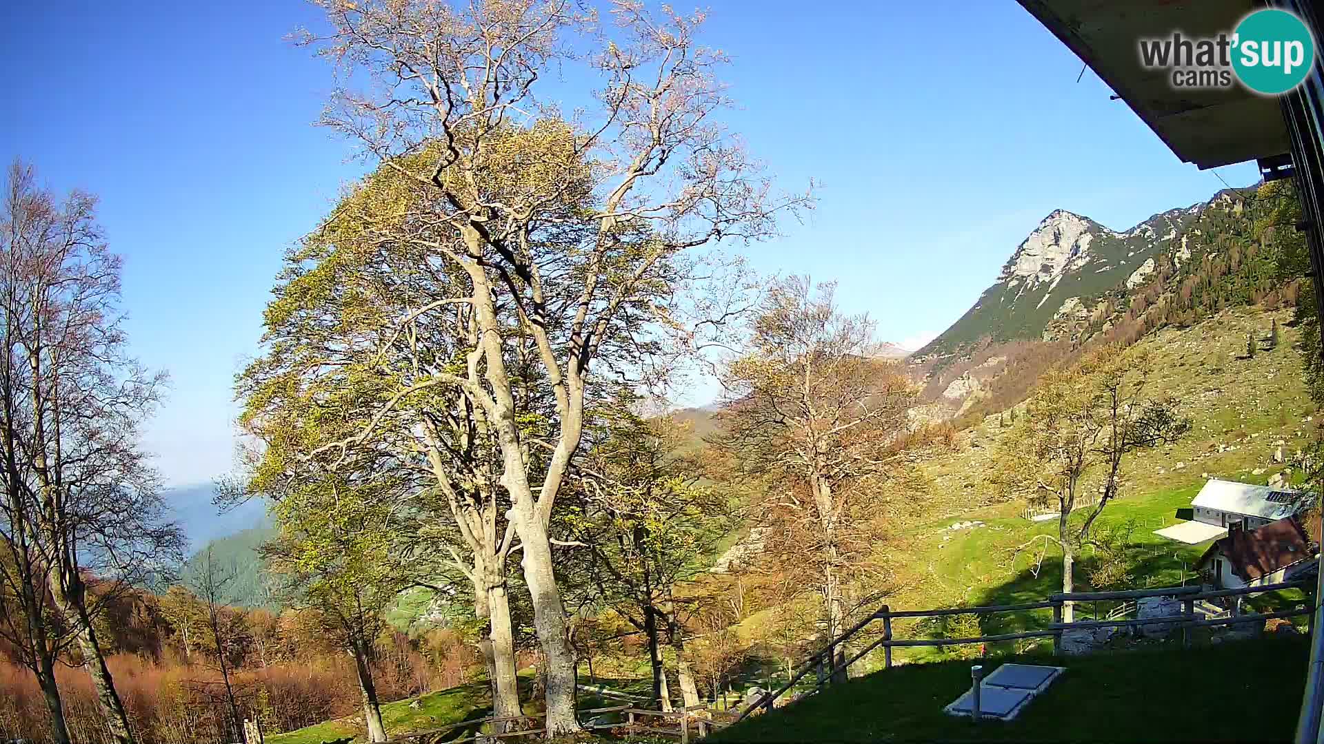 Refuge de la montagne Planina Razor caméra en direct (1315) | vue sur Tolminski Migovec